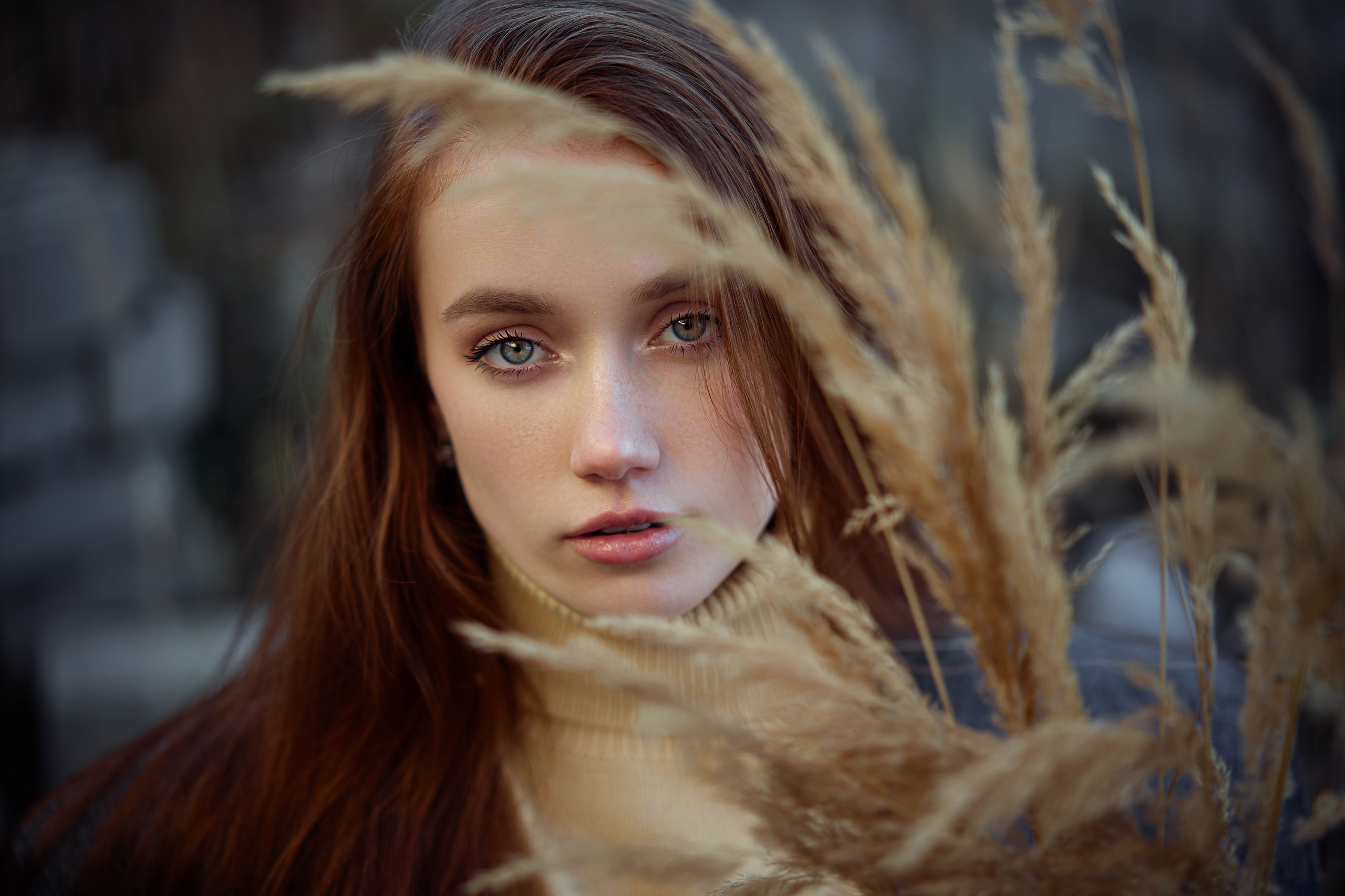 Дмитрий Страхов фотограф в Сургуте