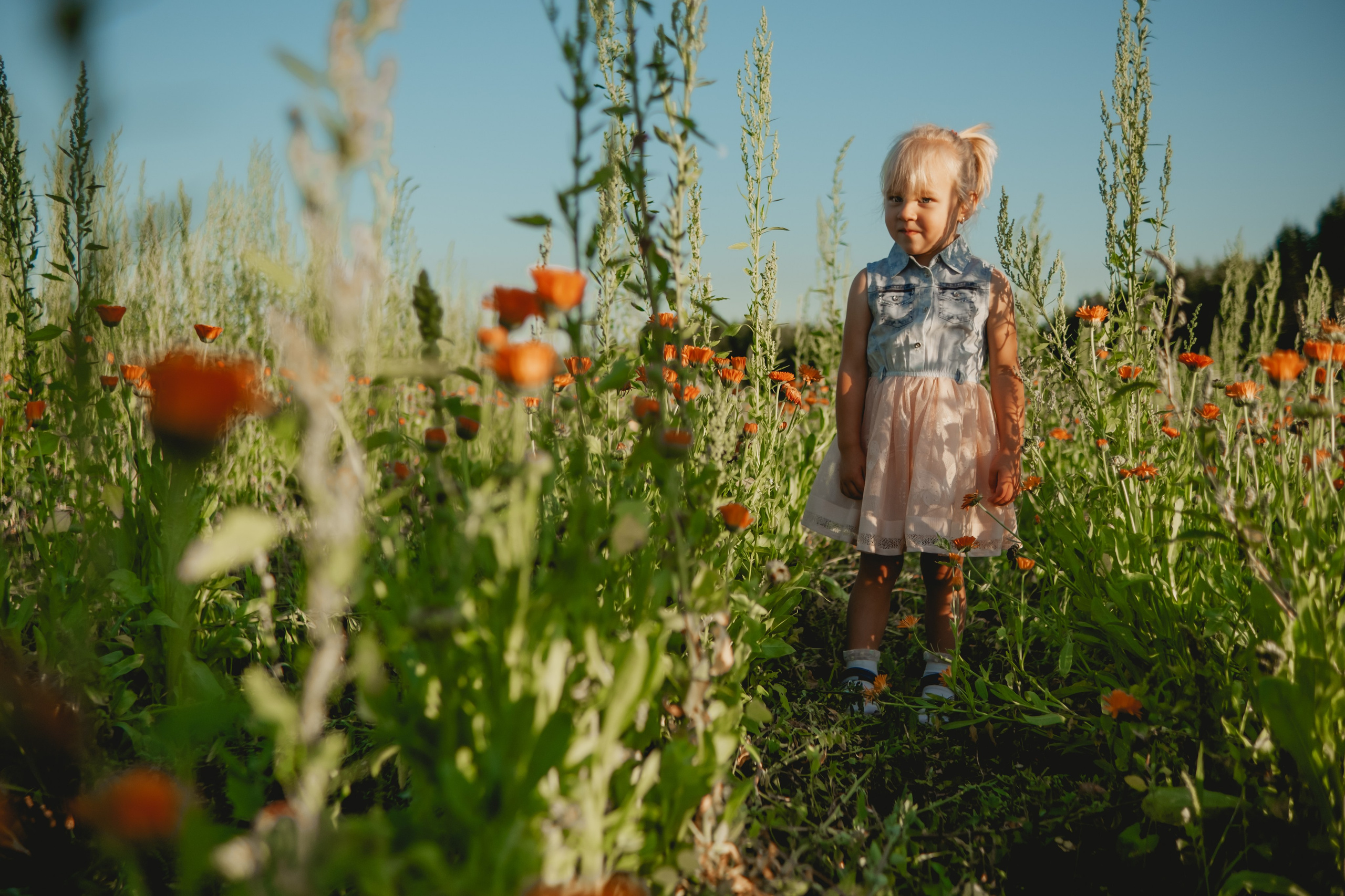 Семейная съемка в лованде. Nattie.ph