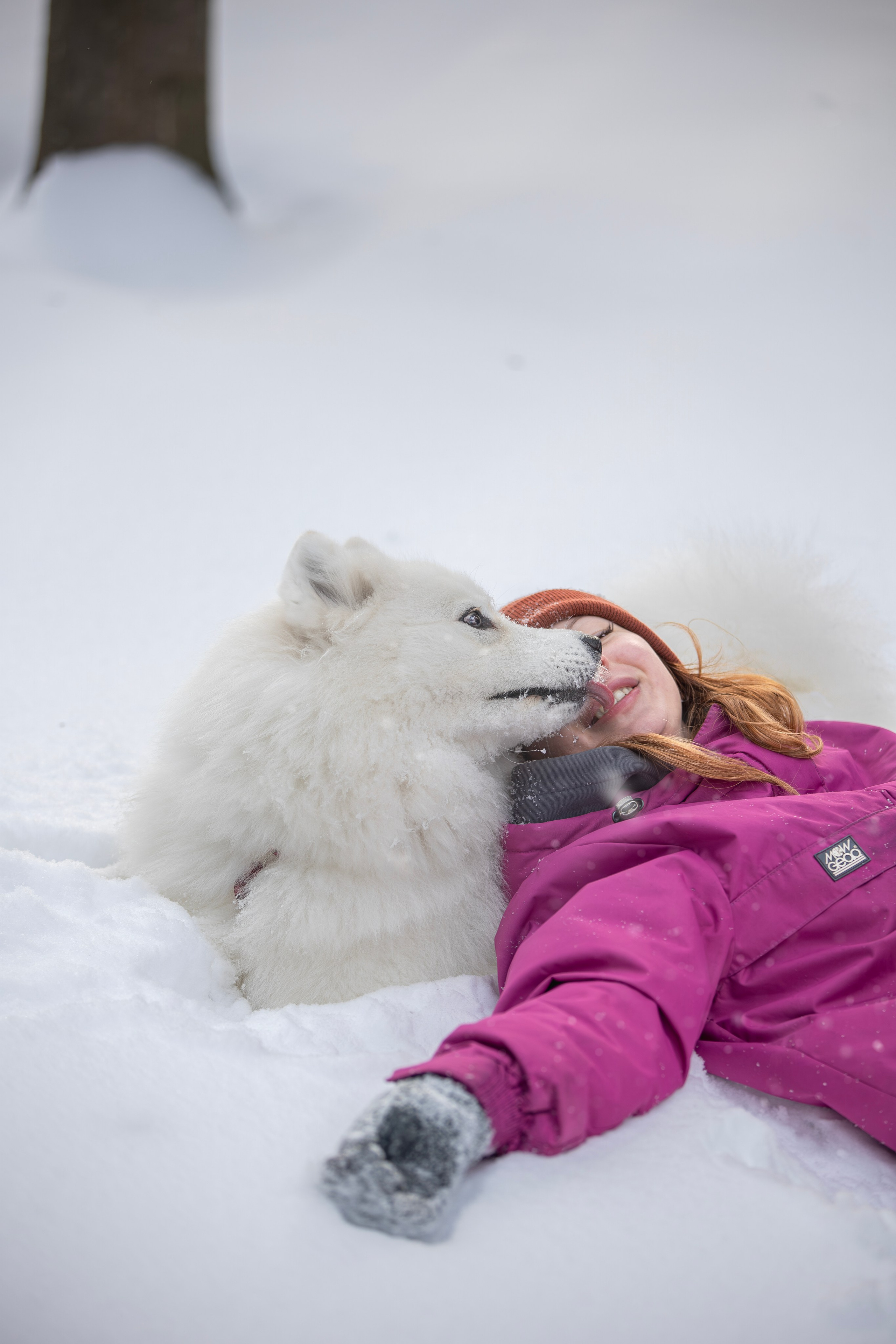 Руби, Николь, Кирилл и Мила. Фотограф анималист в Москве Майорова Евгения