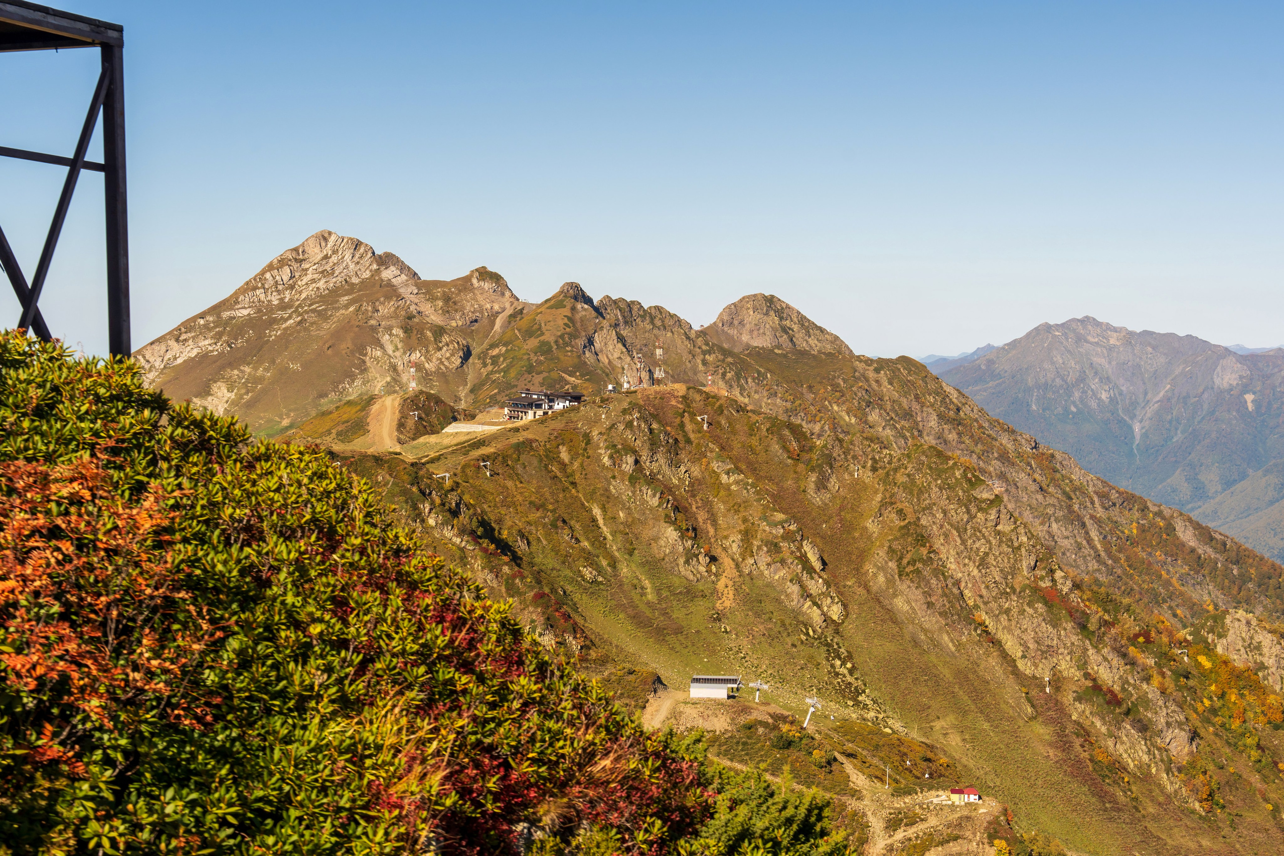 ChinaRosaFest 2024. Репортажный фотограф в Красной Поляне и Сочи Павлюченко Екатерина