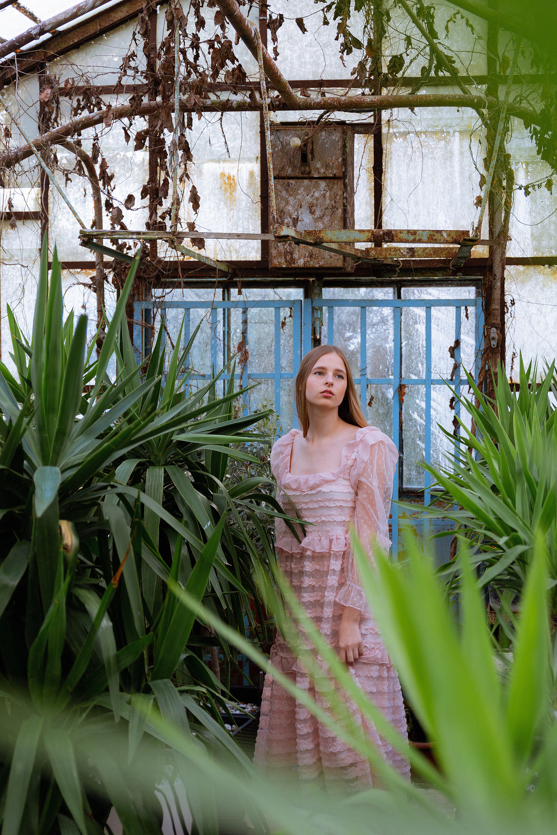 Портфолио. Фотограф на Камчатке, съемки на природе