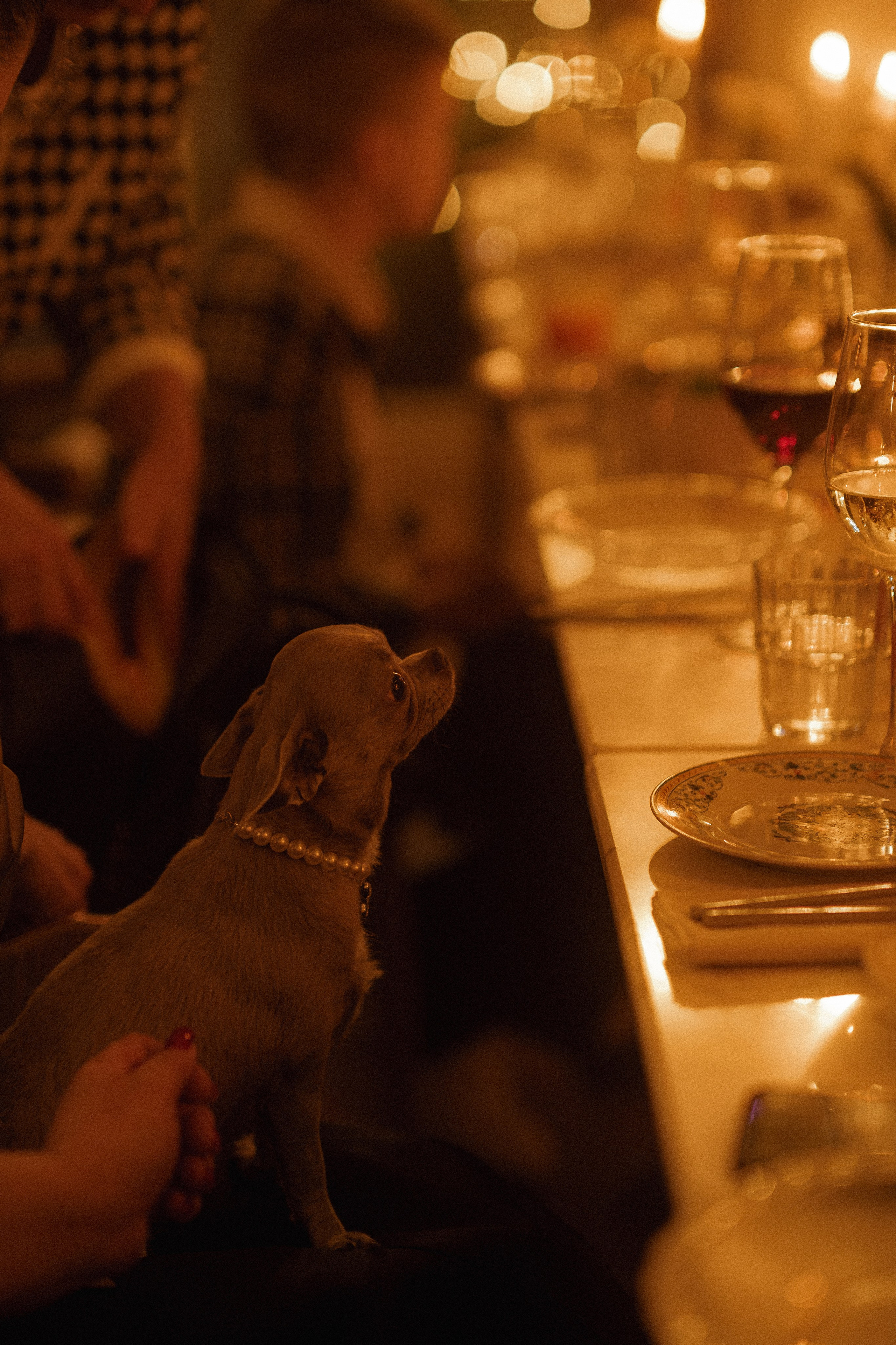 The cutiest. Сентиментальная свадебная фотография