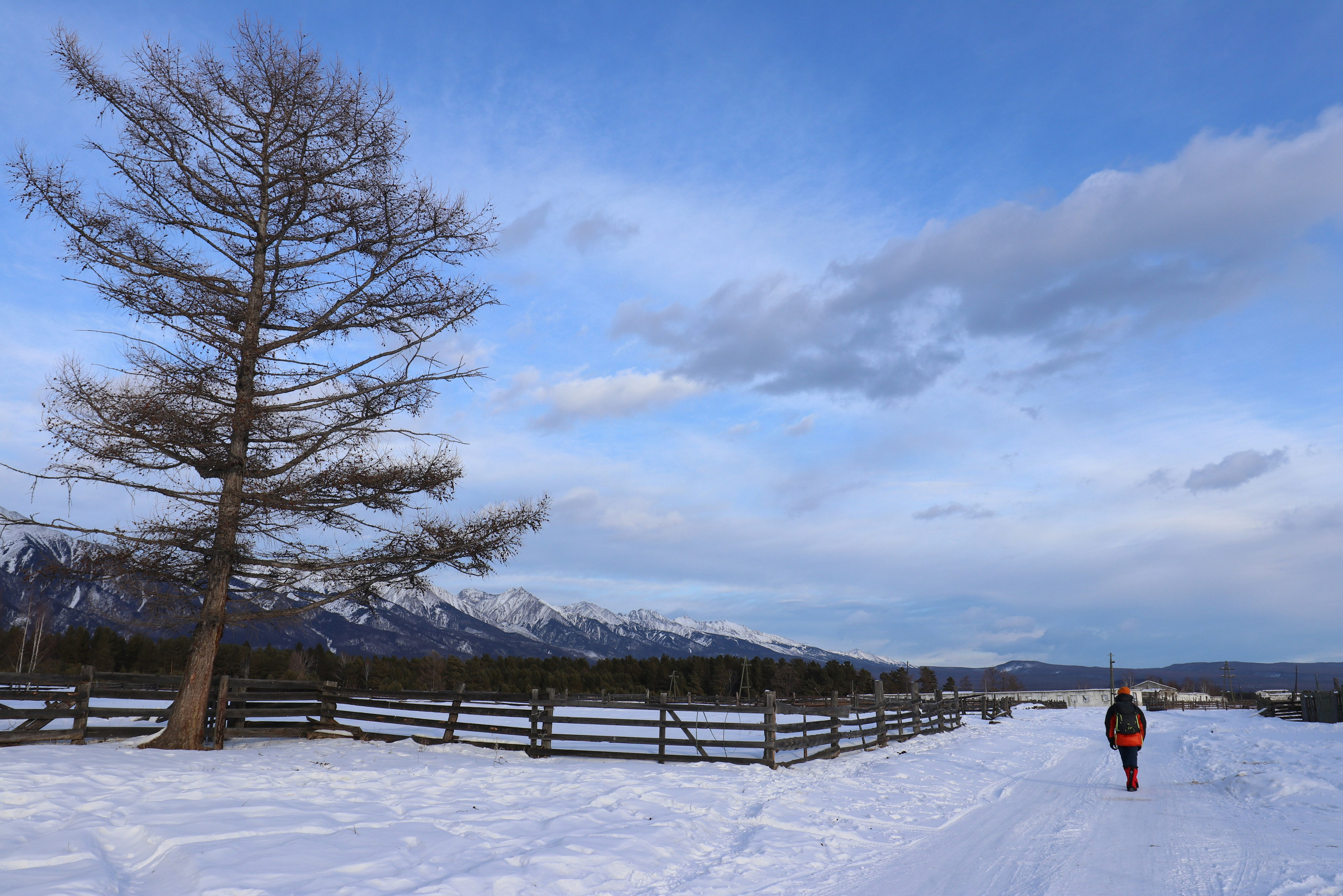 Аршан. Февраль 2025. Путешественник-фотограф из Санкт-Петербурга Татьяна Свистулина