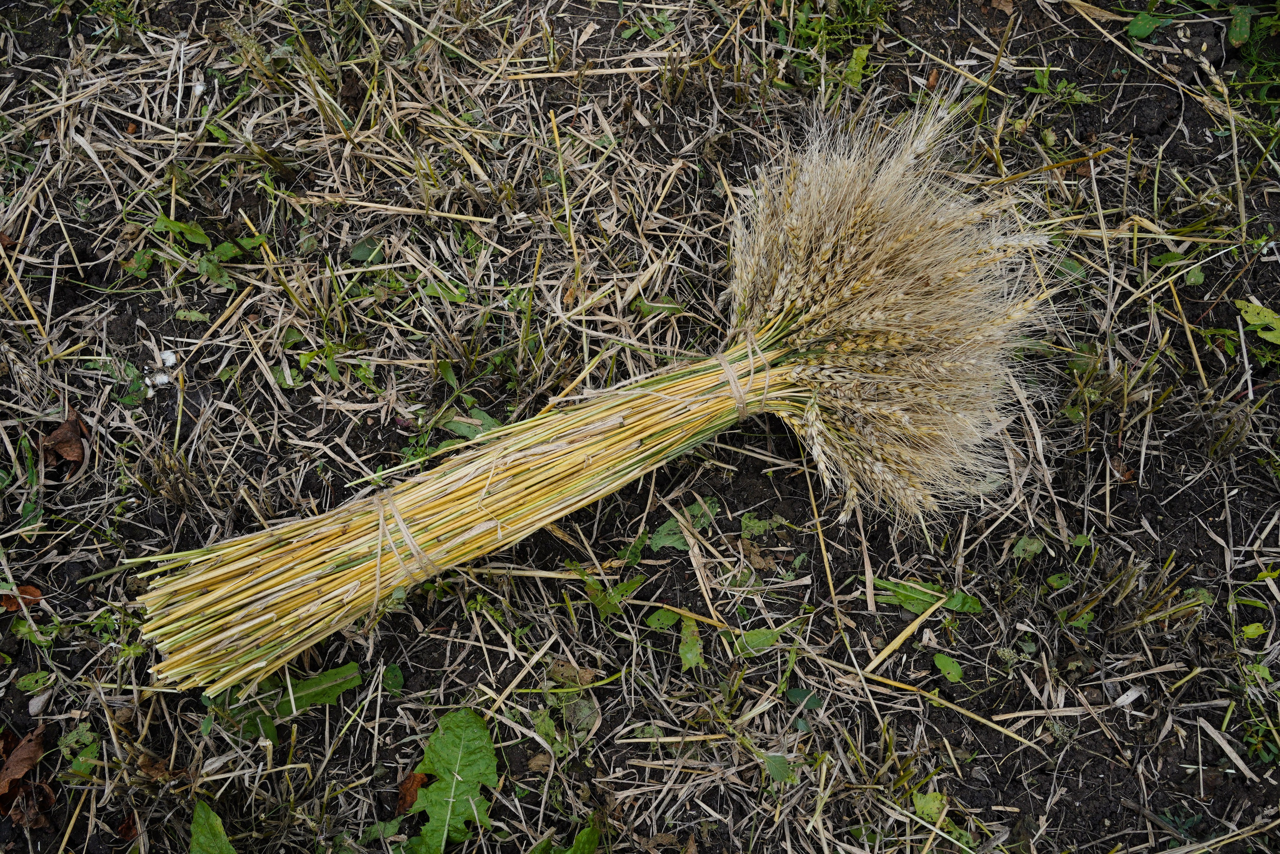 1 квадратный метр земли. Margarita Khatmullina