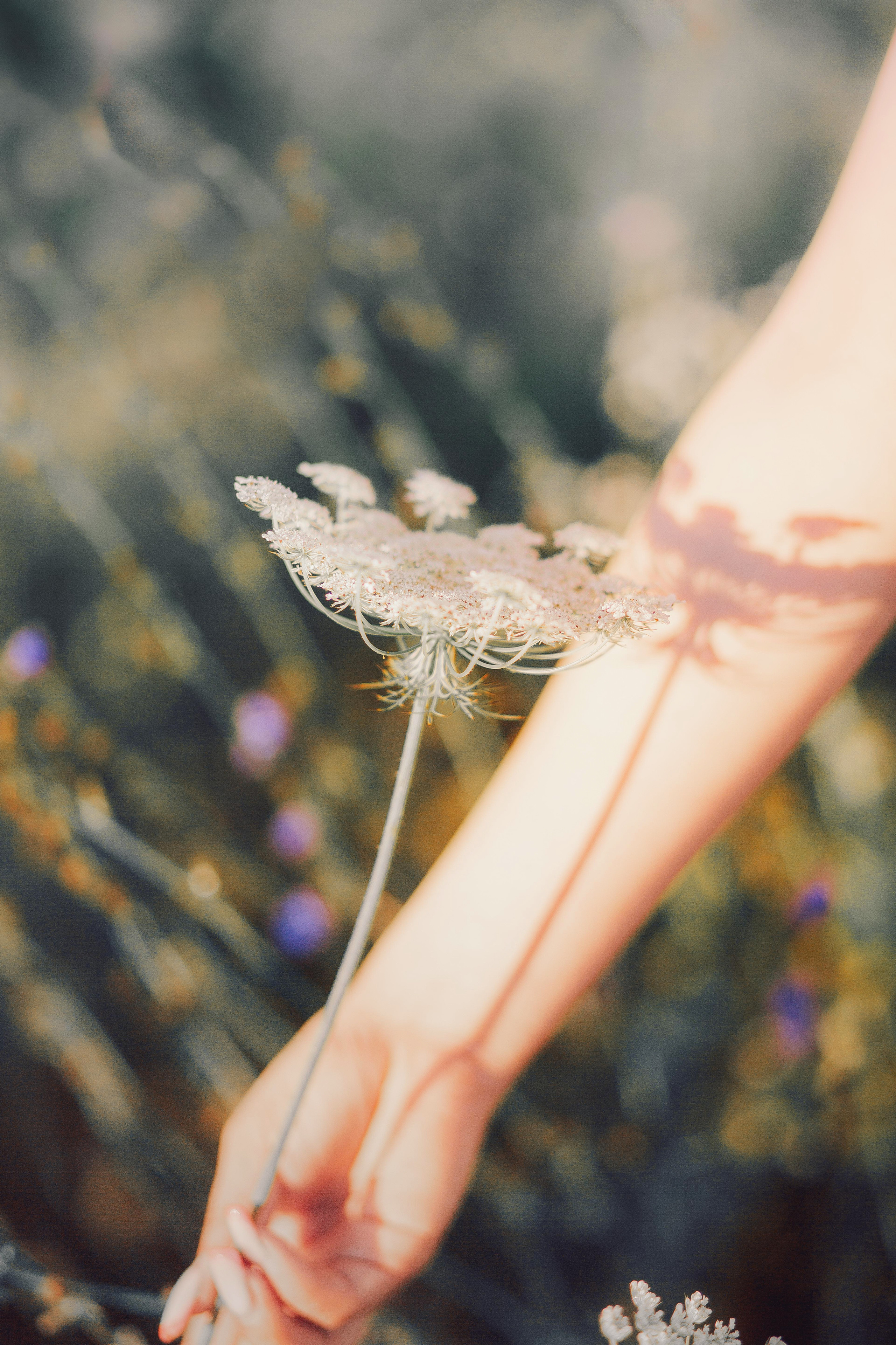 Про Лизу. Семейный и детский фотограф в Туле