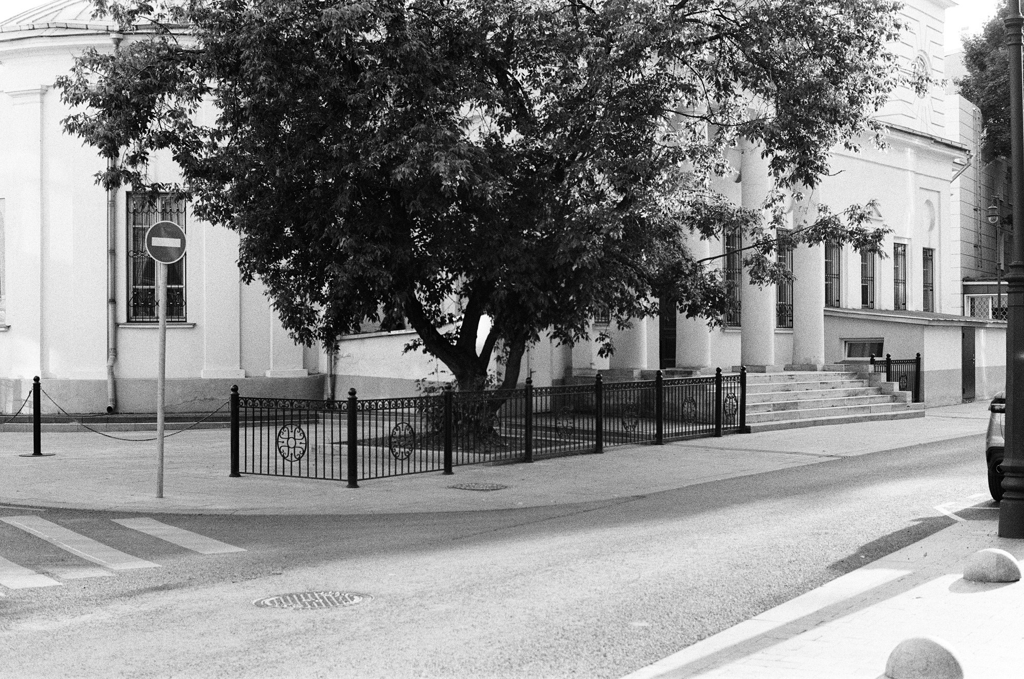 Нескучный сад и Остоженка. Другой Павел Поцелуев. Фотограф в 2025 году