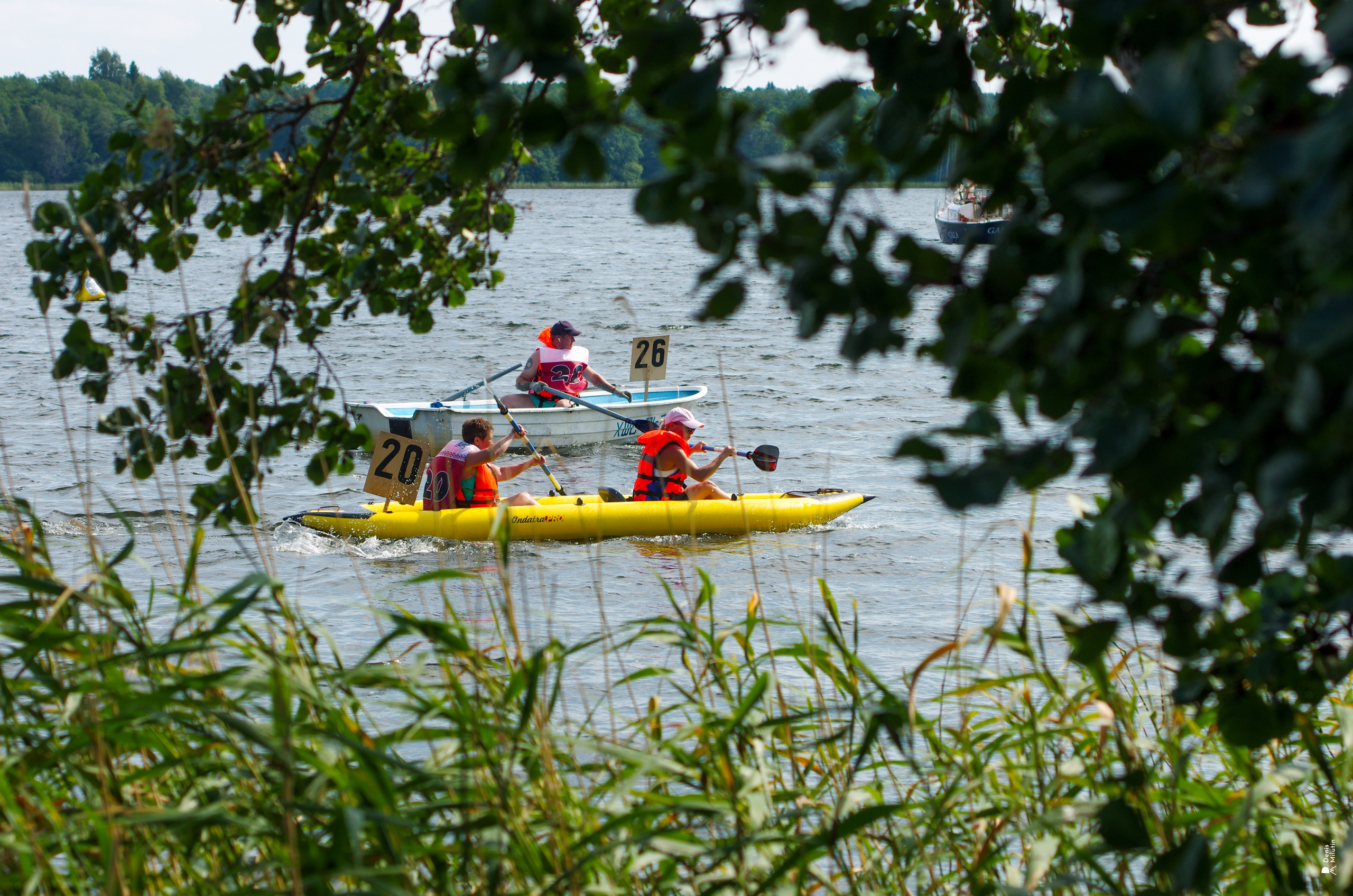 Кижская регата 2025. Портретный фотограф Денис Милютин