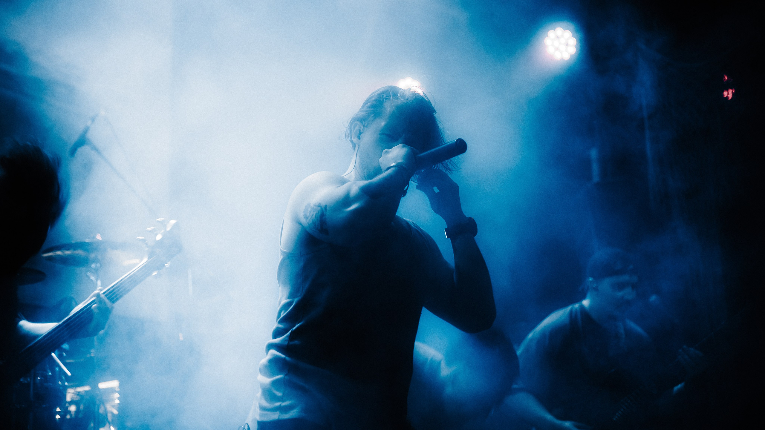 WITNESS EFFECT | 19.04.25 | Ласточка