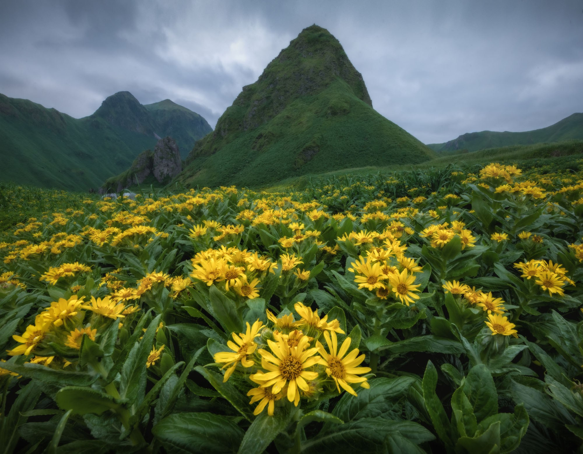 Фотографии Курилы