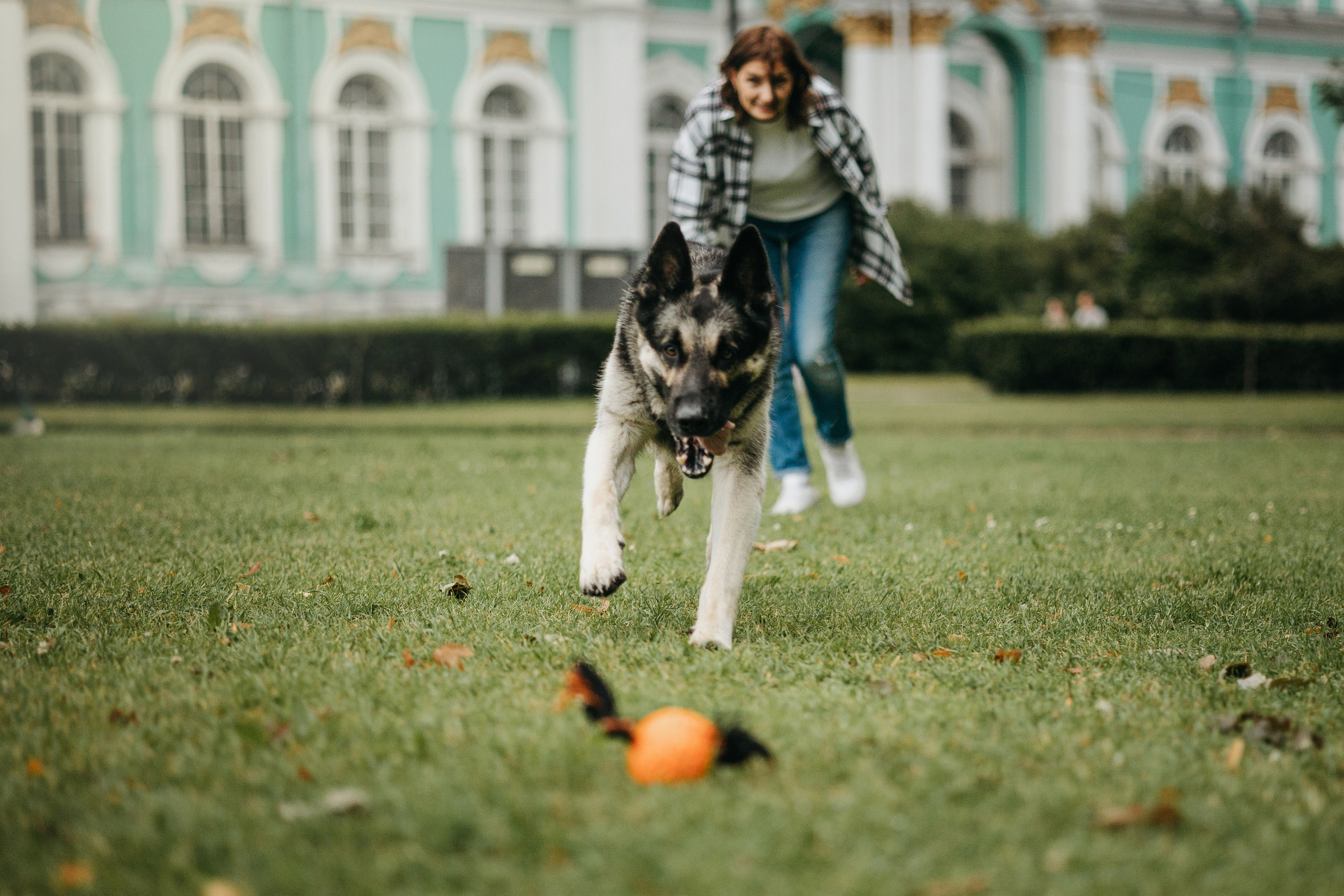 Рей и Ксения. Фотограф — Анималист | Санкт-Петербург