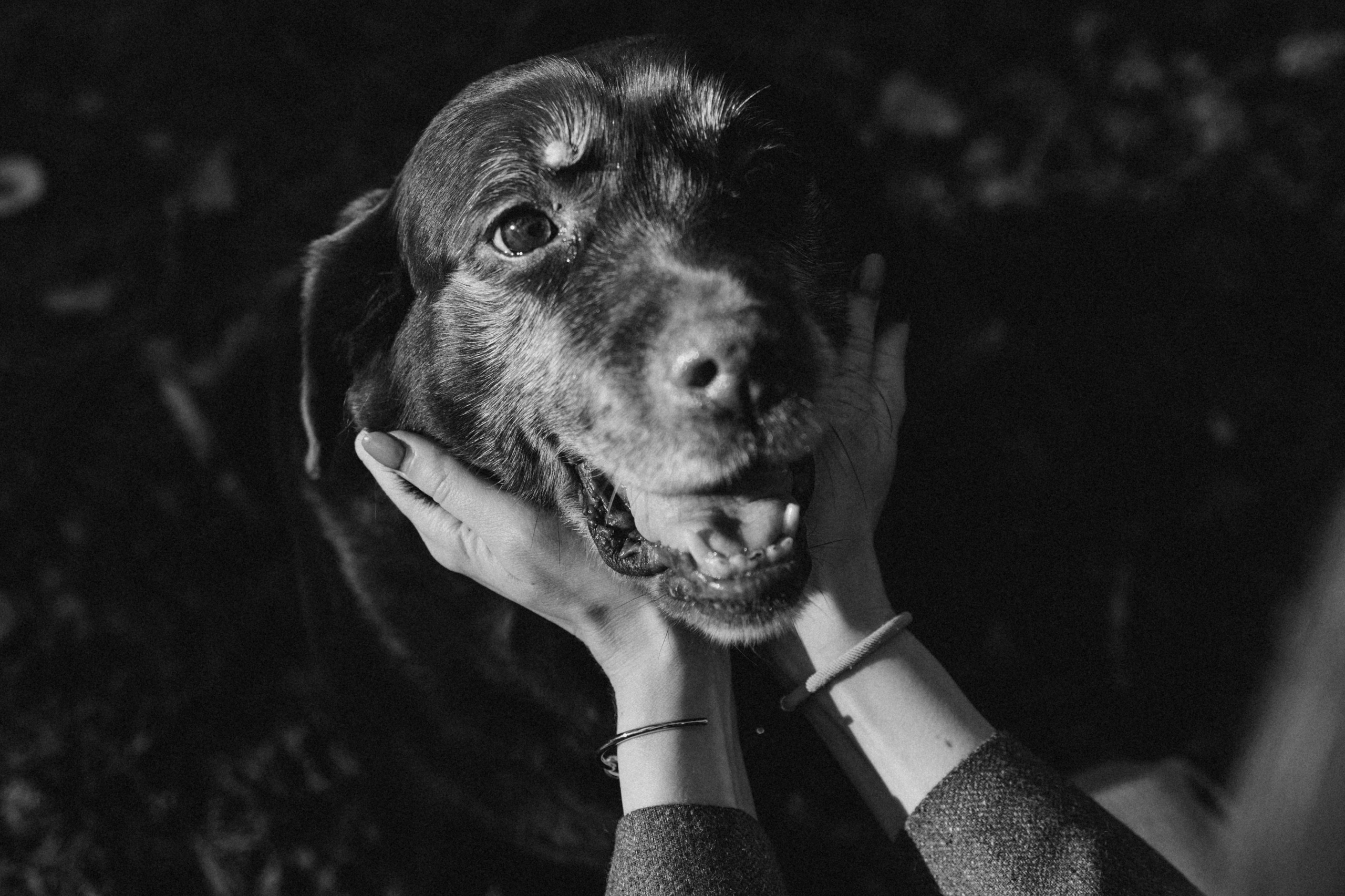 Оля и Питоня. Фотограф — Анималист | Санкт-Петербург