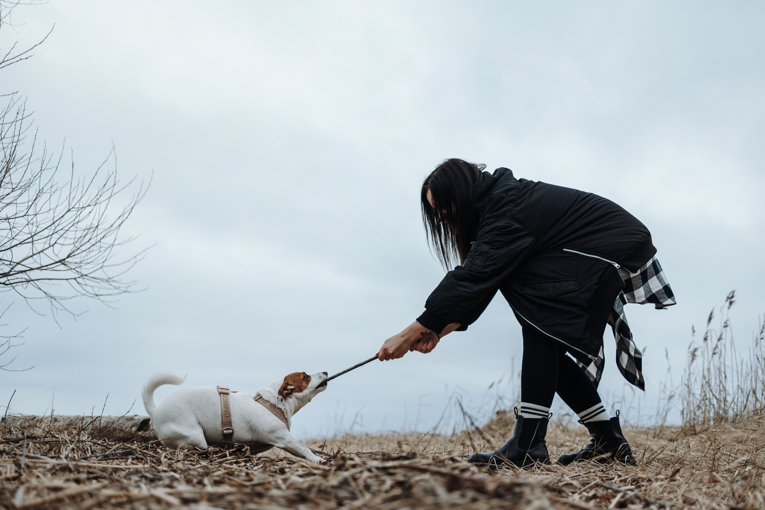 Саша и Джеки. Фотограф — Анималист | Санкт-Петербург