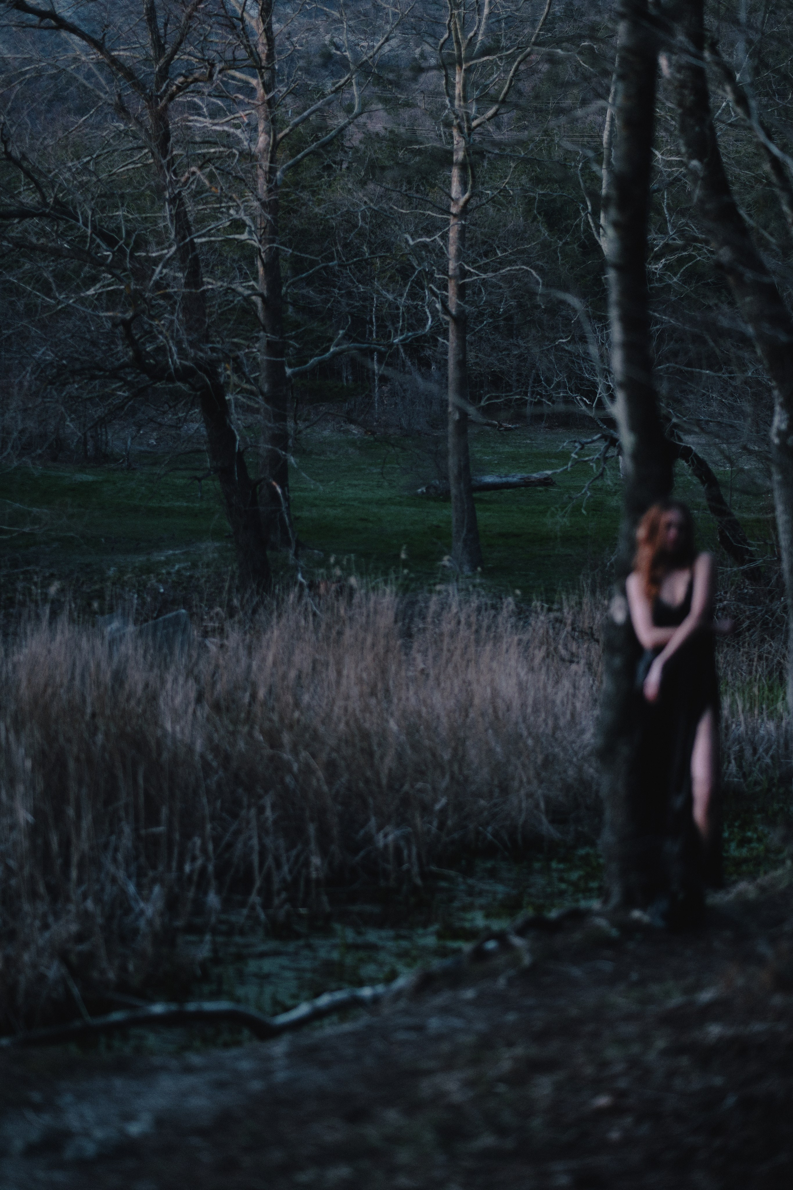 Moonlight. Gerasko Aleks — Портрет, кричащий тишиной