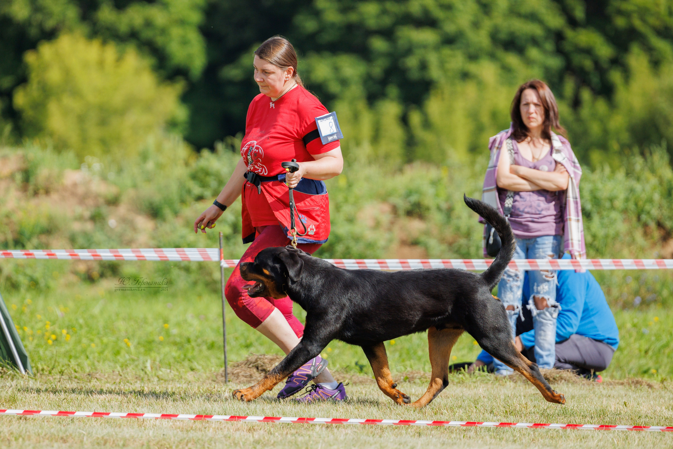 Рязань-Ховрино 10-11.08.2024 3хмоно ротвейлеров. Фотограф-анималист Юлия Германика