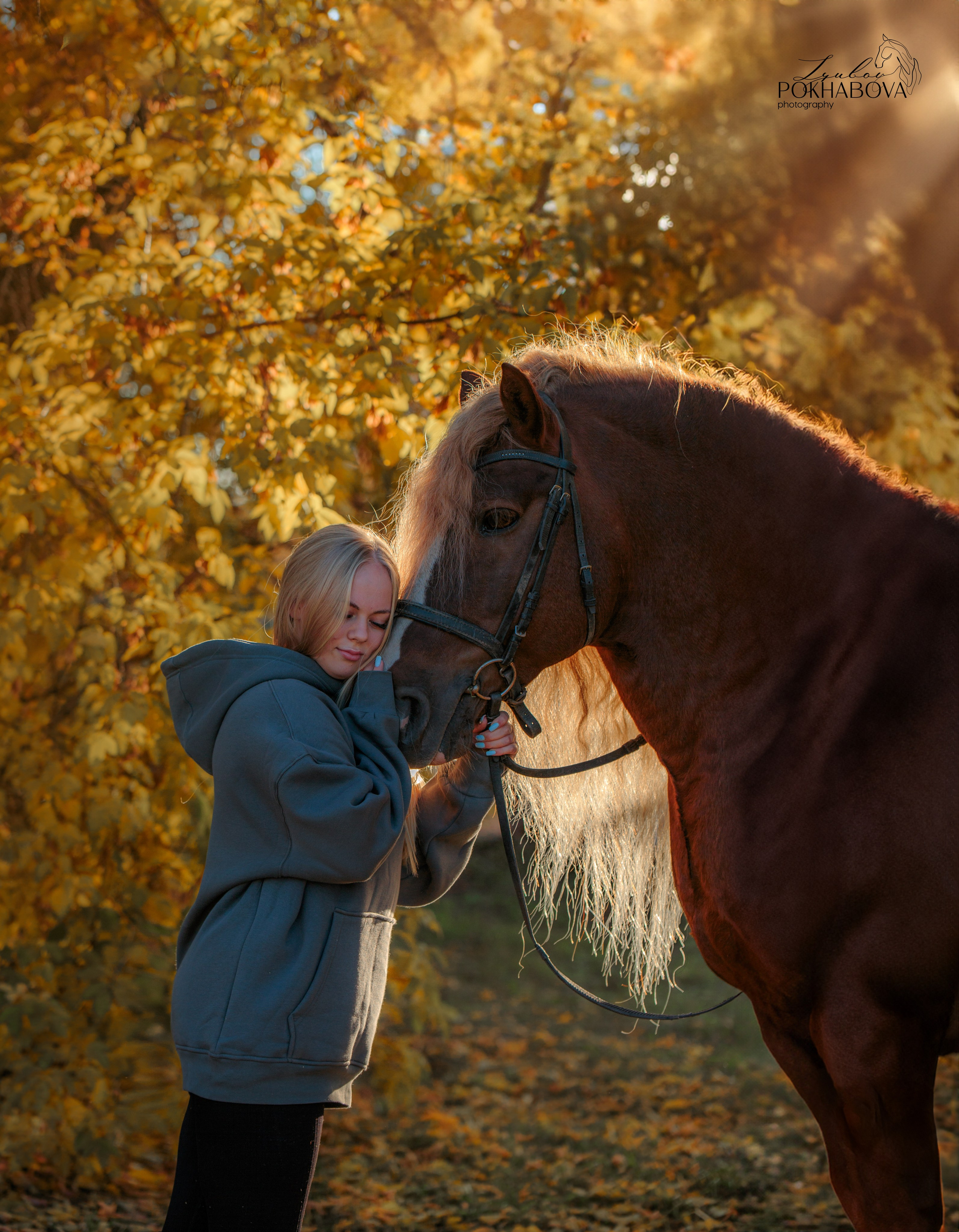 Карета 24. Конный фотограф в Красноярске — Любовь Похабова