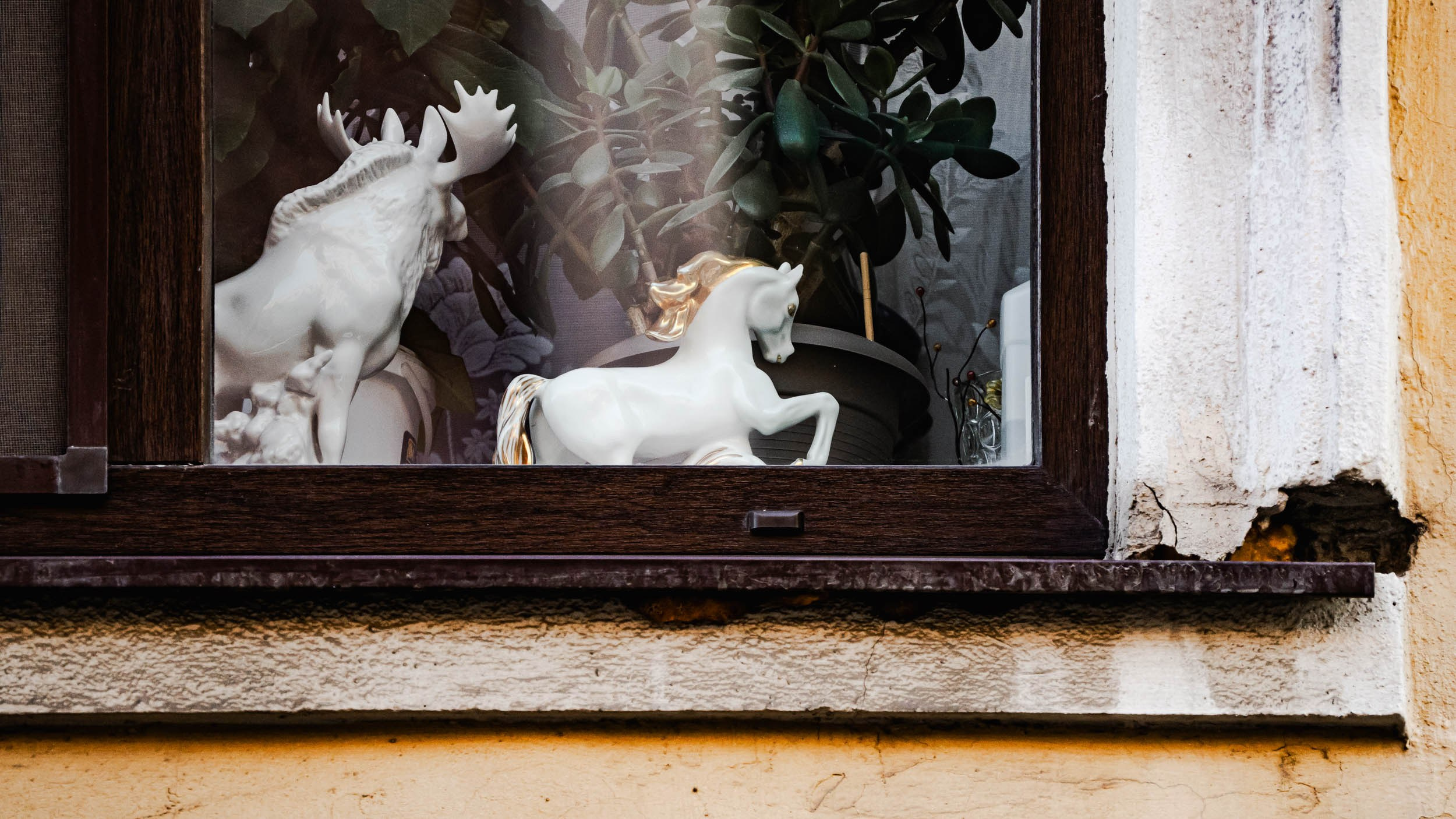 Saint Petersburg. The Andris