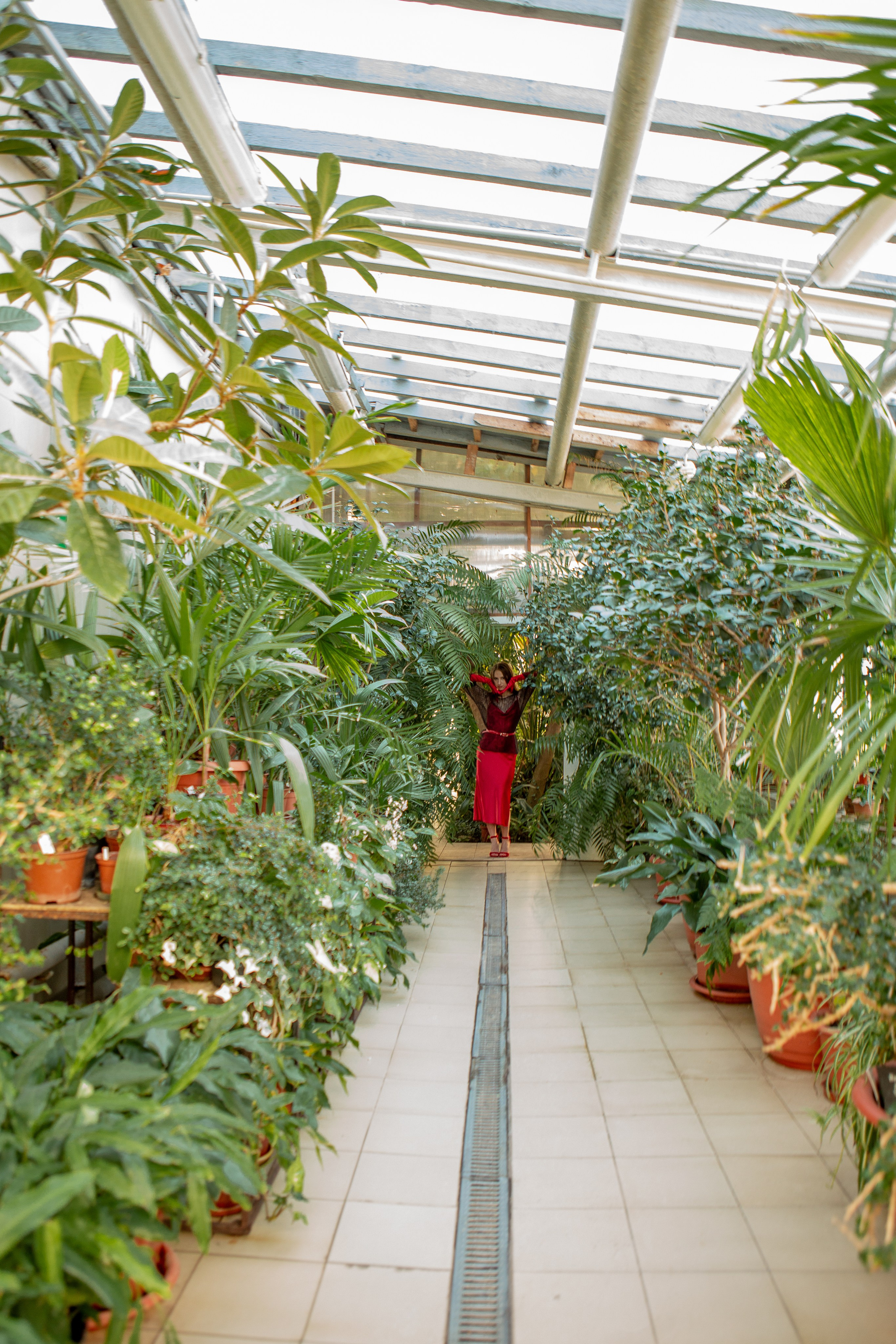 Свидание в ботаническом саду. Фотограф Екатерина Голицына