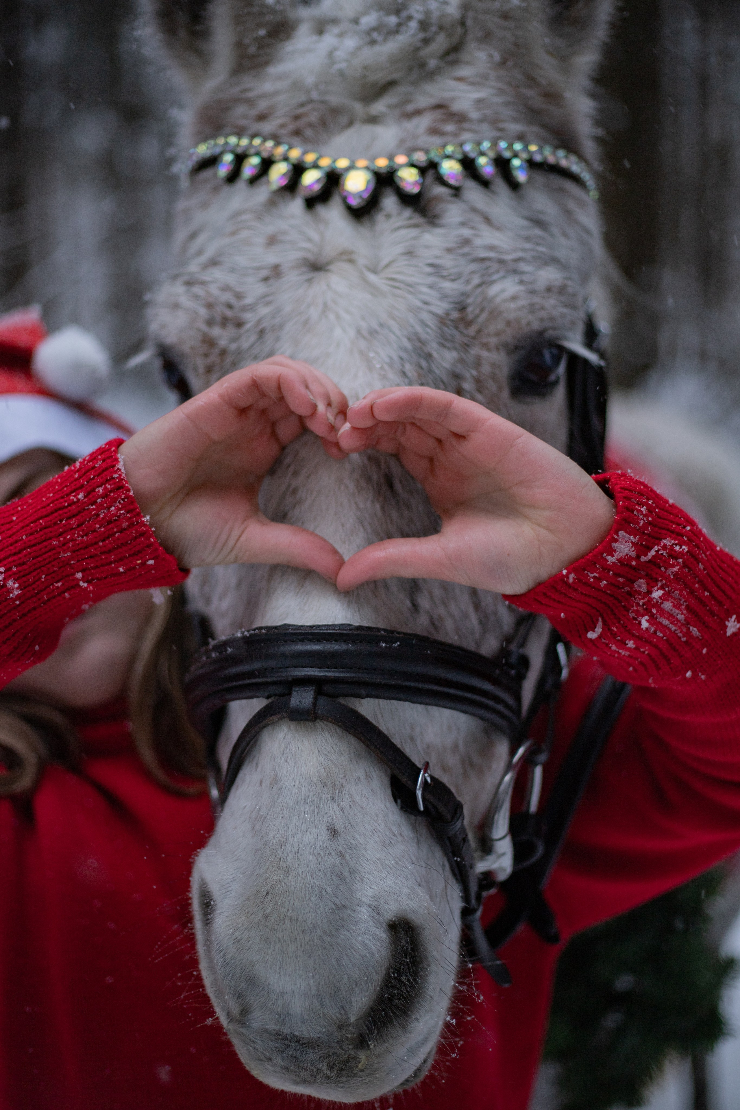 Съемка с лошадьми. Женский и семейный фотограф в Москве Лисовская Юлия