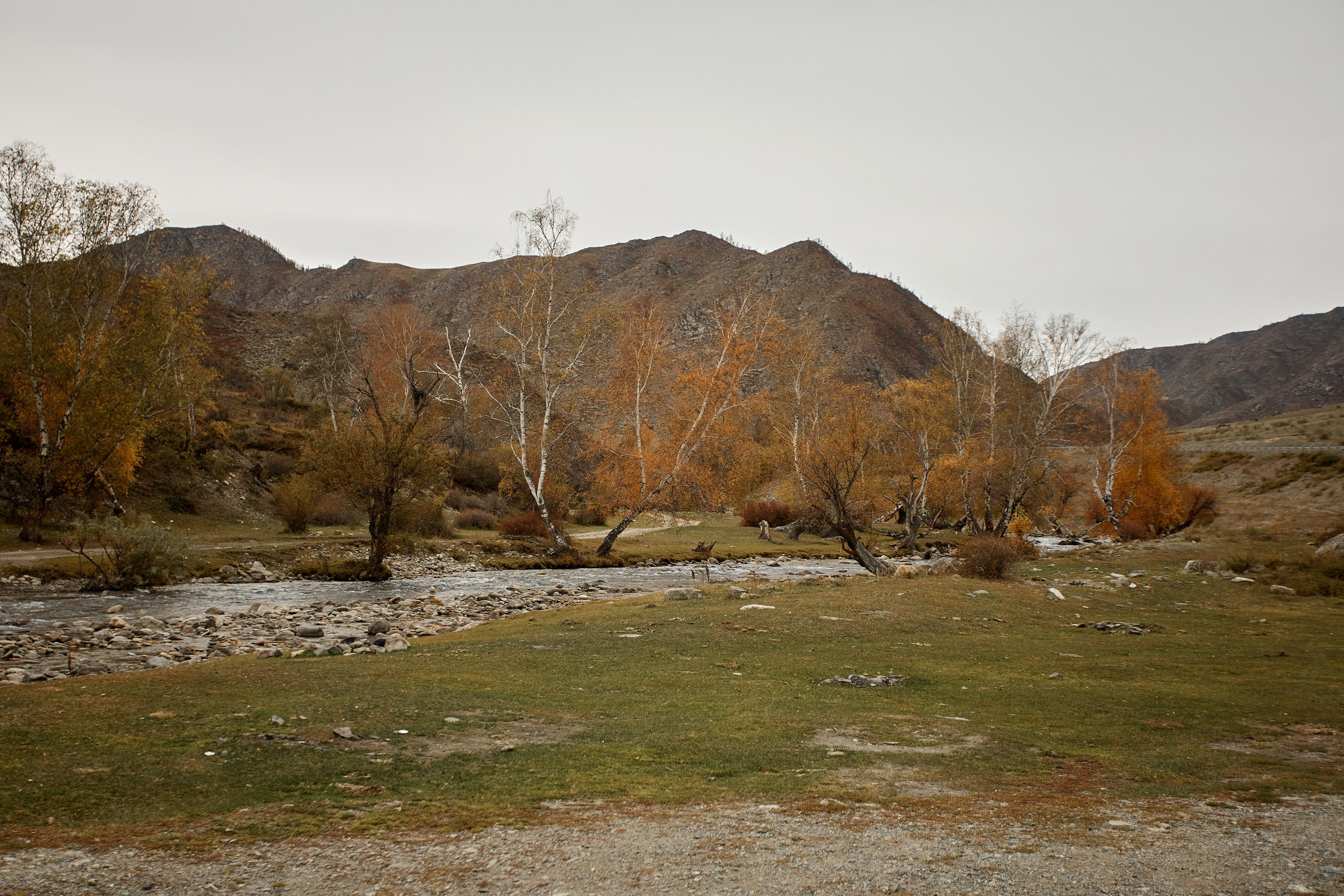 Алтай. Свадебный фотограф Челябинск, Екатеринбург, Курган — Виктор Слуднов