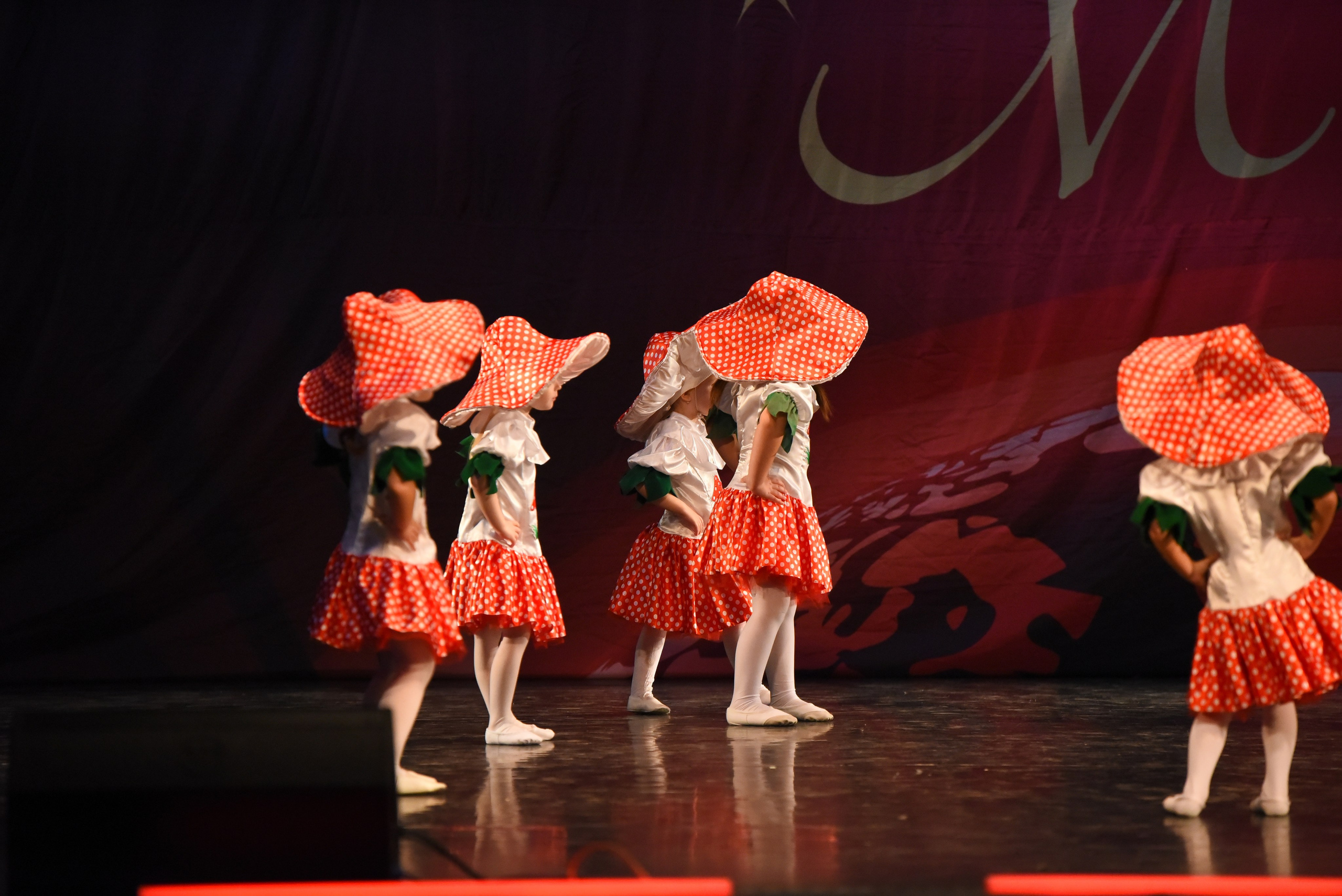 13 декабря, г. Калининград. Золотое яблочко