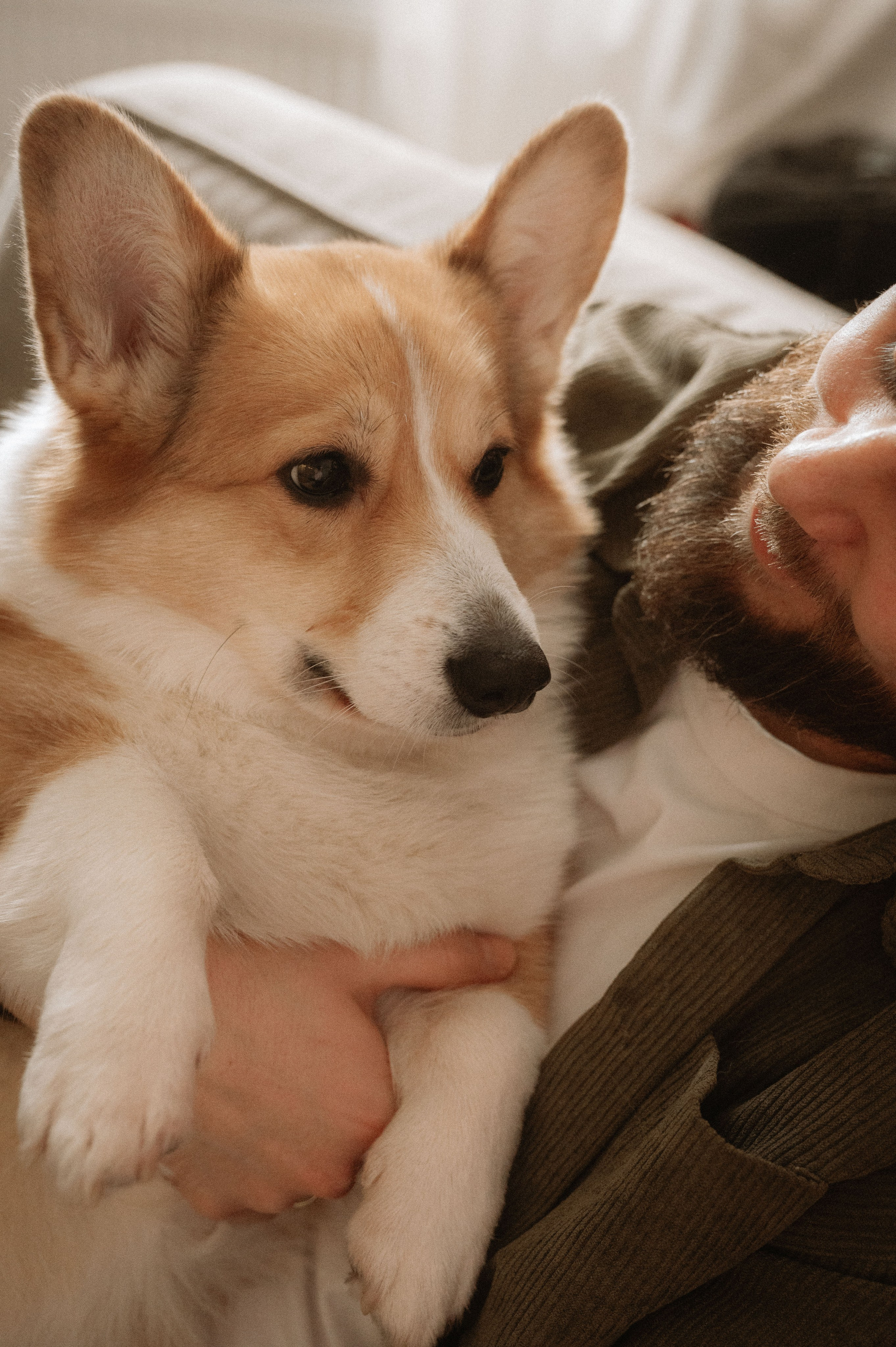 Лизавета, Никита и Мирослава. Фотограф беременности и семьи, домашние съемки, Ньюборн