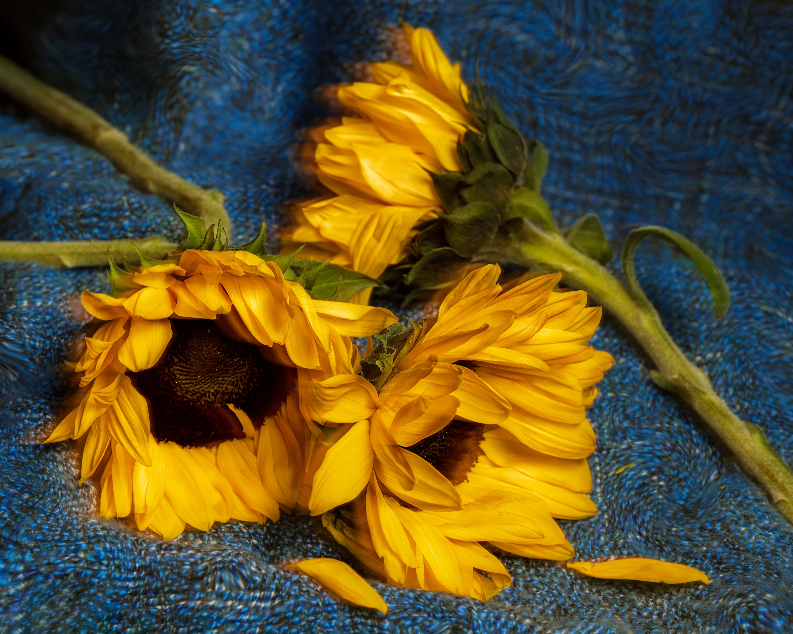 Поэзия цветов. Портретный фотограф в Челябинске Катерина Руди