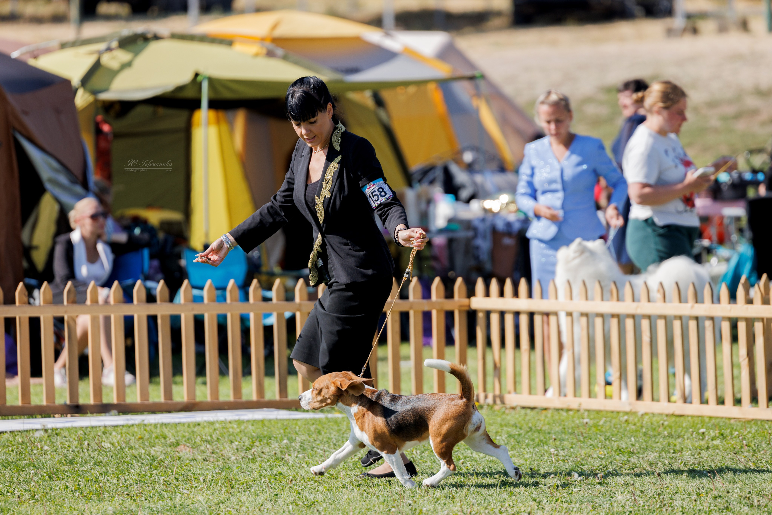 Ереван 14-16.10.2025. Фотограф-анималист Юлия Германика