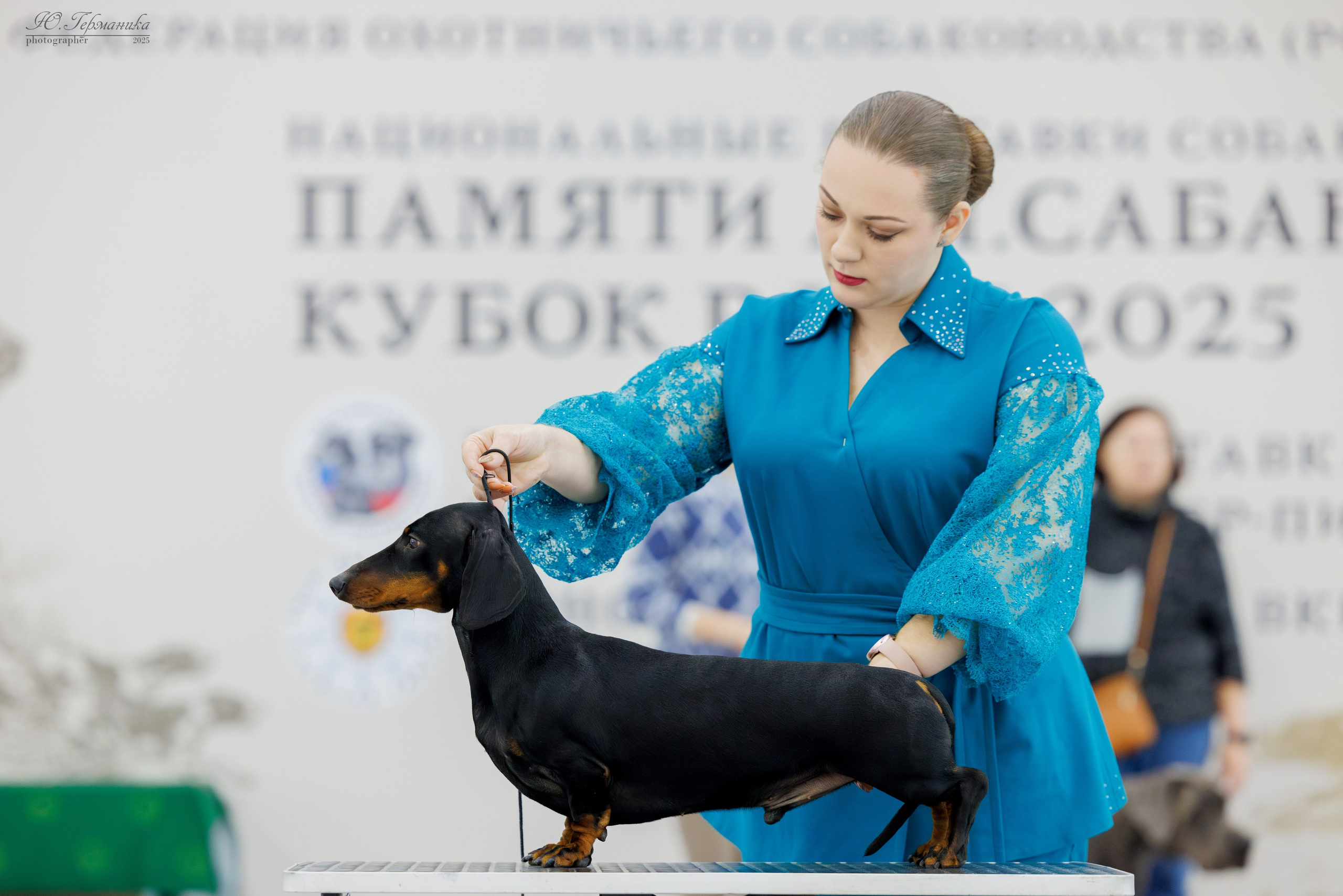 Сабанеевка Казань 25-26.01.2025. Фотограф-анималист Юлия Германика
