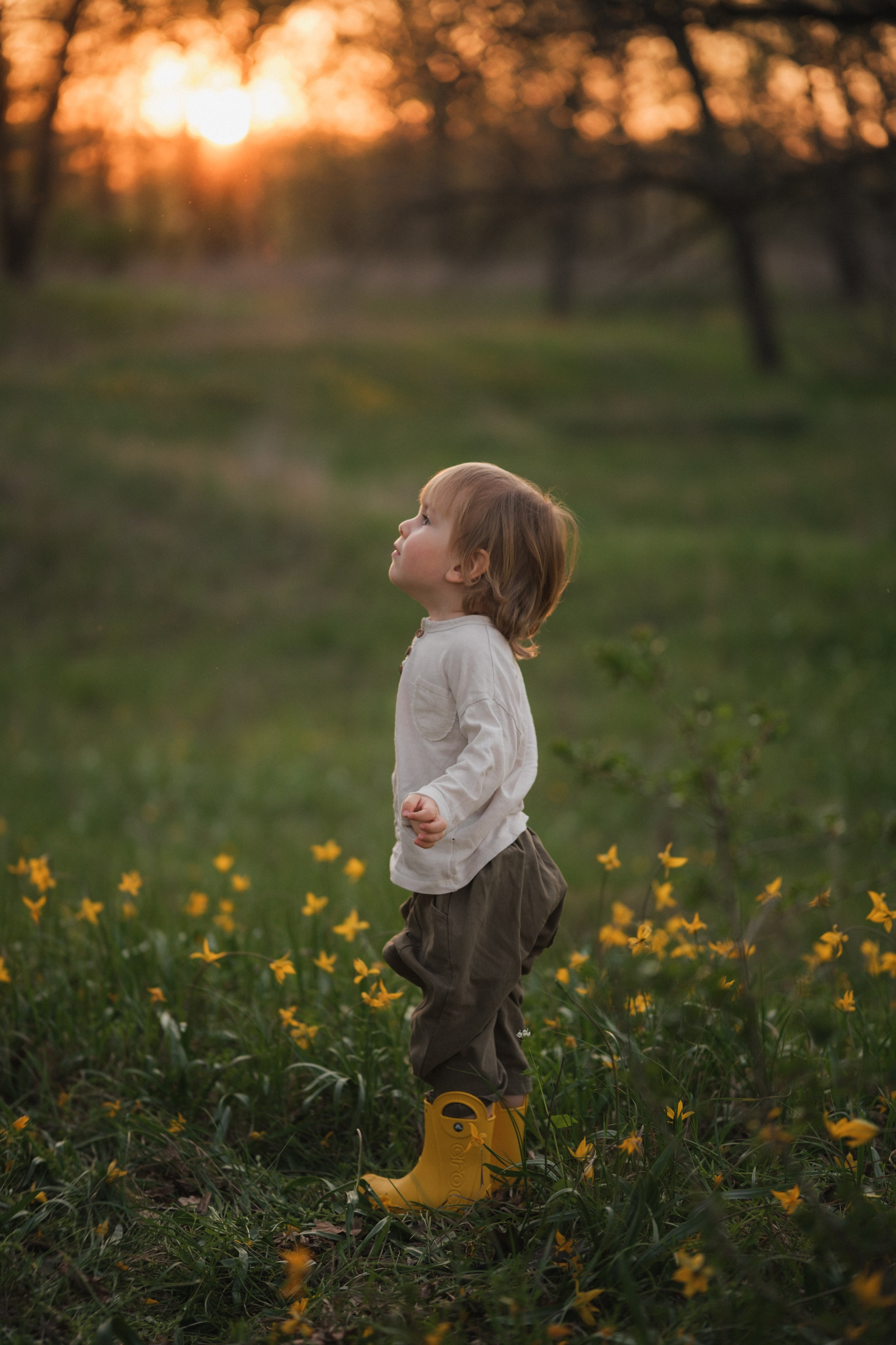 Катя, Глеб и Буч. Свадебный и семейный фотограф в Волгограде