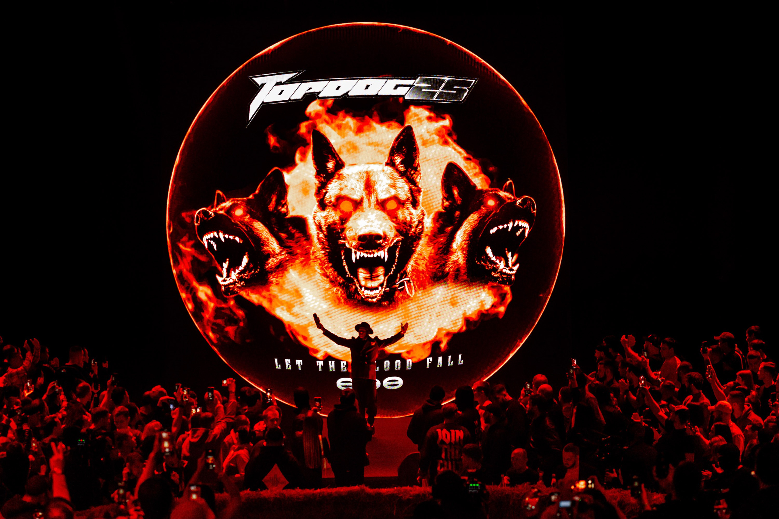 TOP DOG. Максим Комаров — Профессиональный фотограф