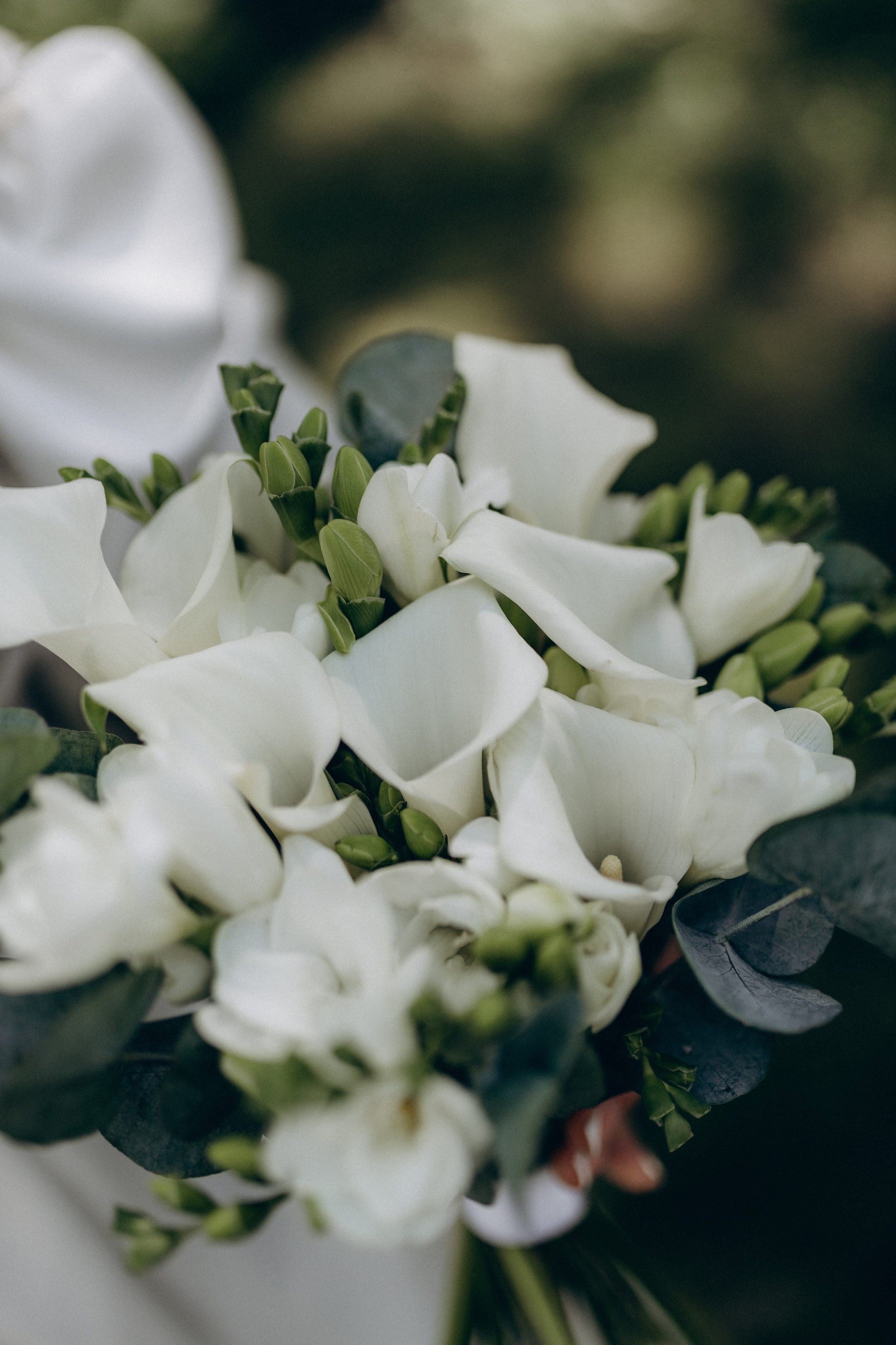 Виктория & Лев. Фотограф НОГИНСК, Москва, Анастасия Белая