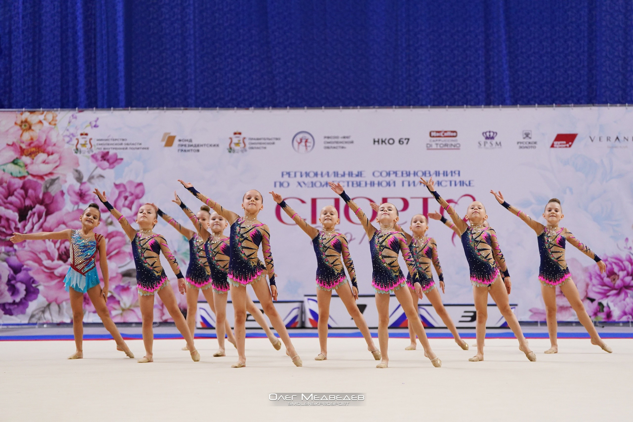 Эстетическая гимнастика. Спортивный фотограф Олег Медведев | prosport67 | Смоленск