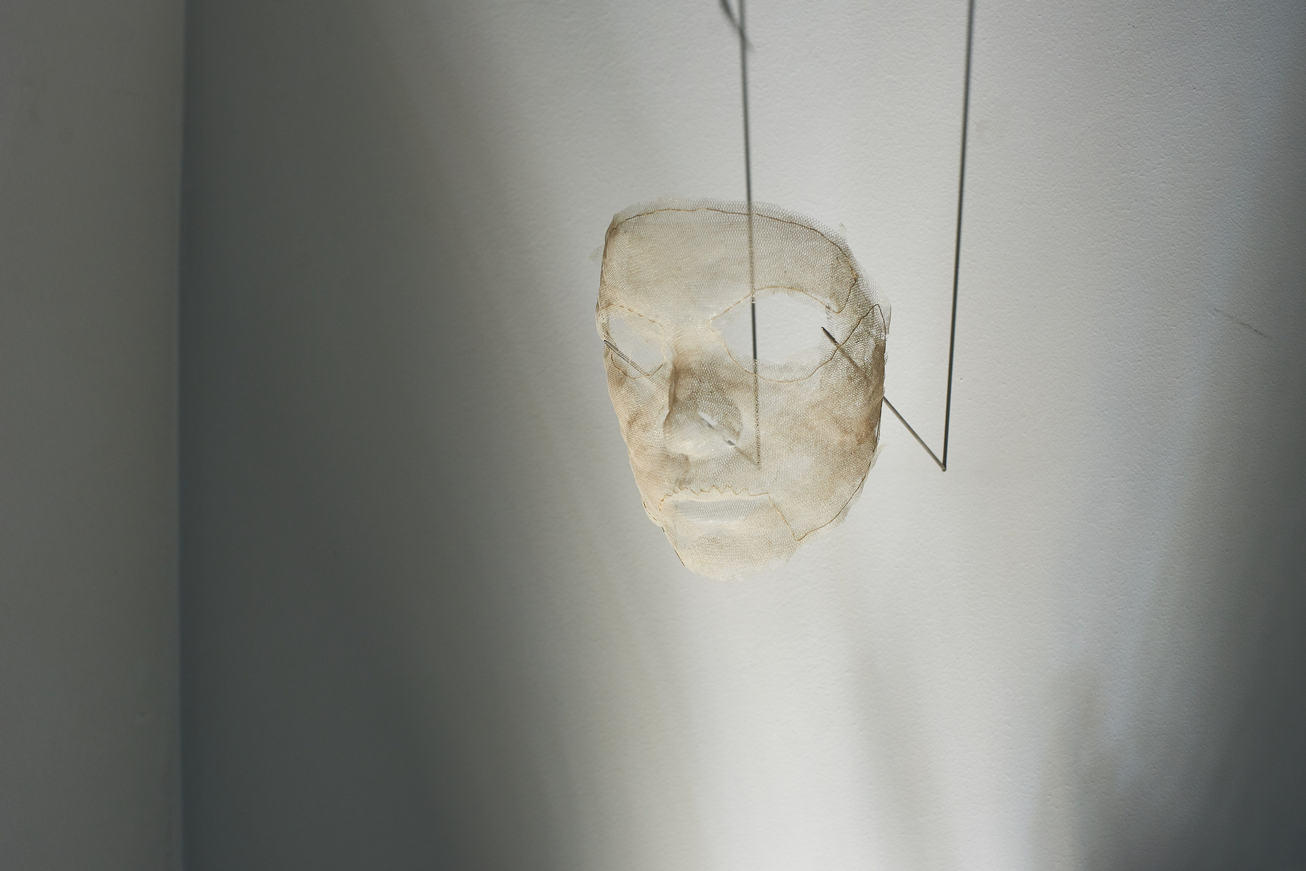 THE ALIENATED BODY. Ilmira Bolotyan — Interdisciplinary Artist and Curator