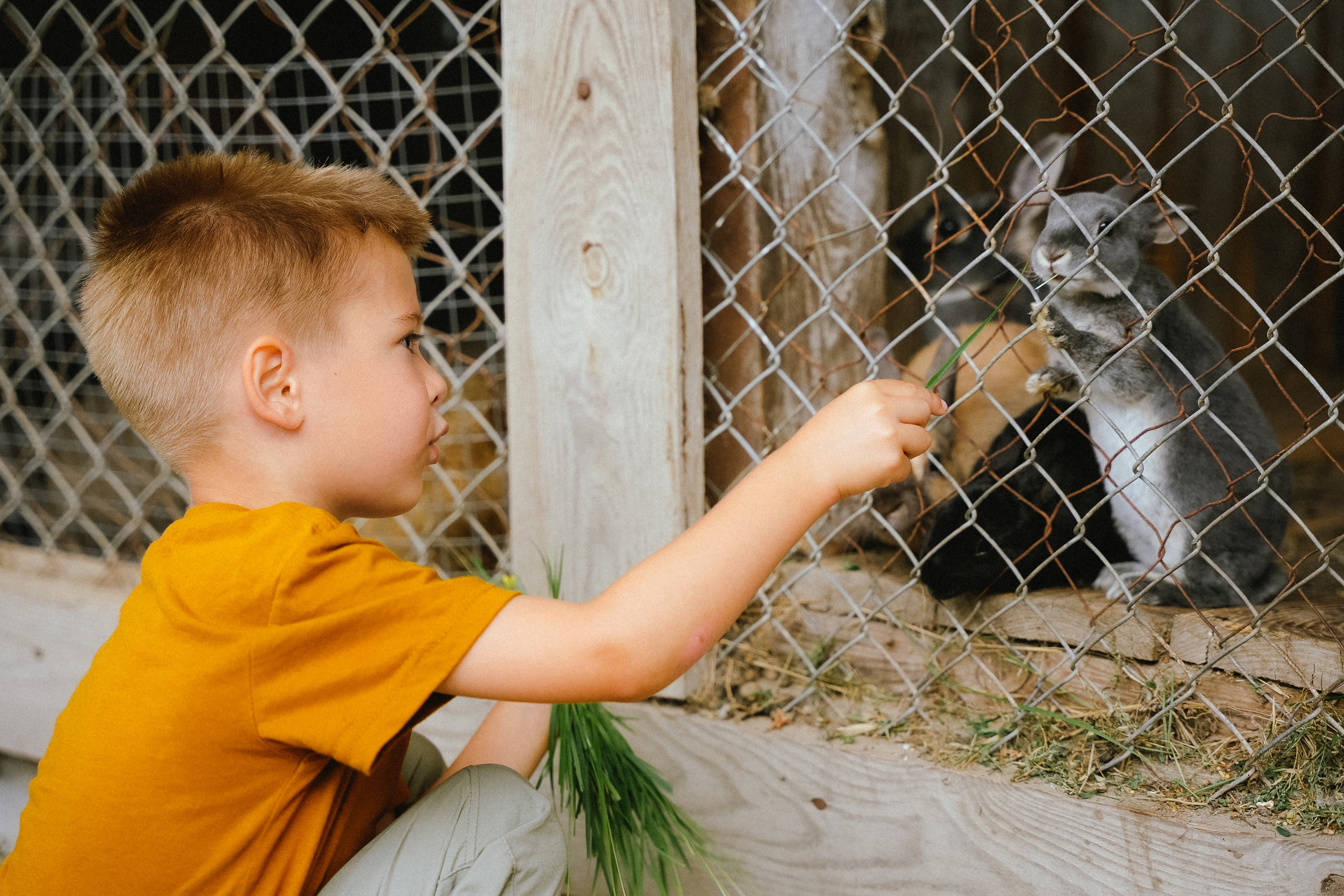 Детские. Семейный и детский фотограф в Рязани Кулешова Оксана