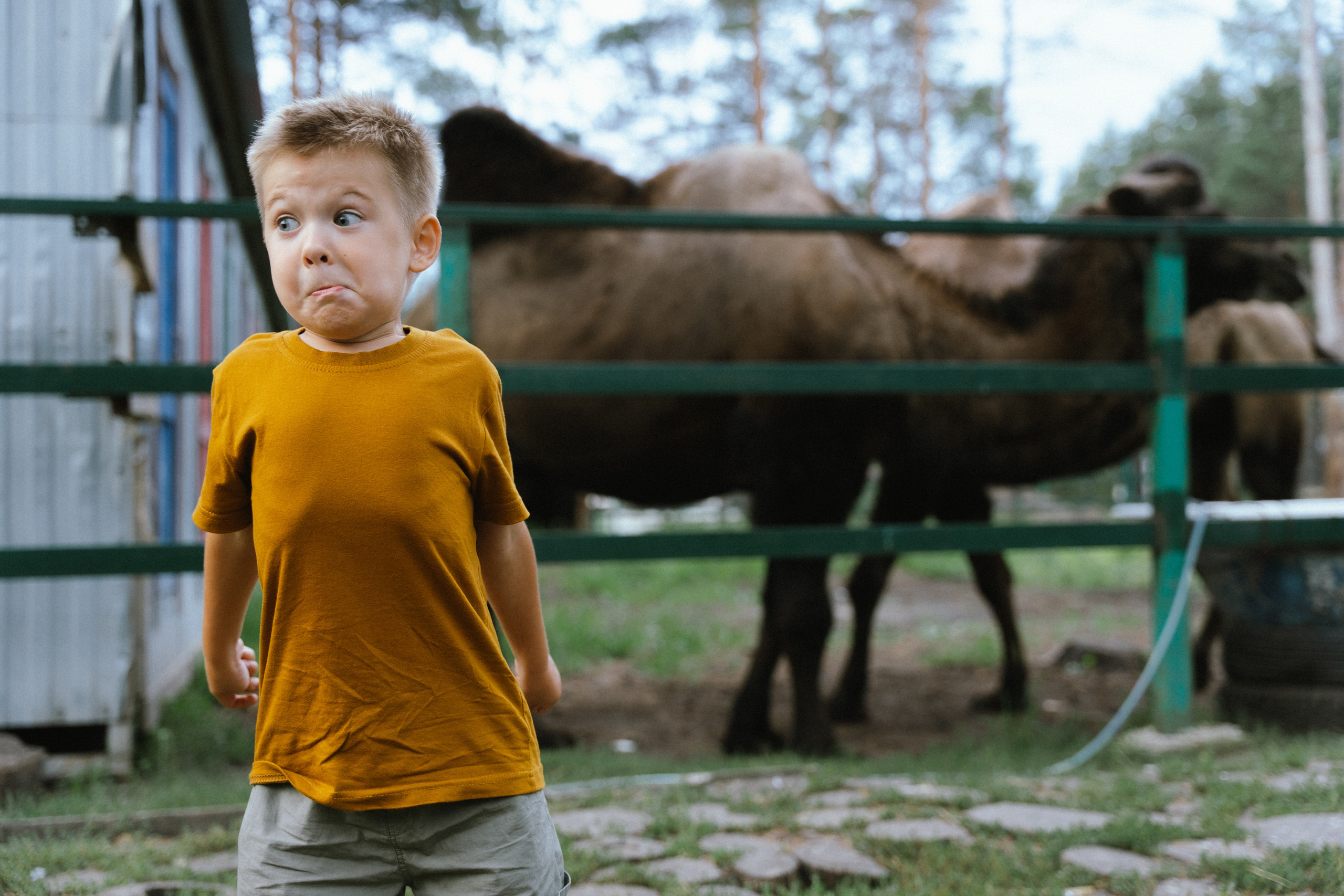 Детские. Семейный и детский фотограф в Рязани Кулешова Оксана