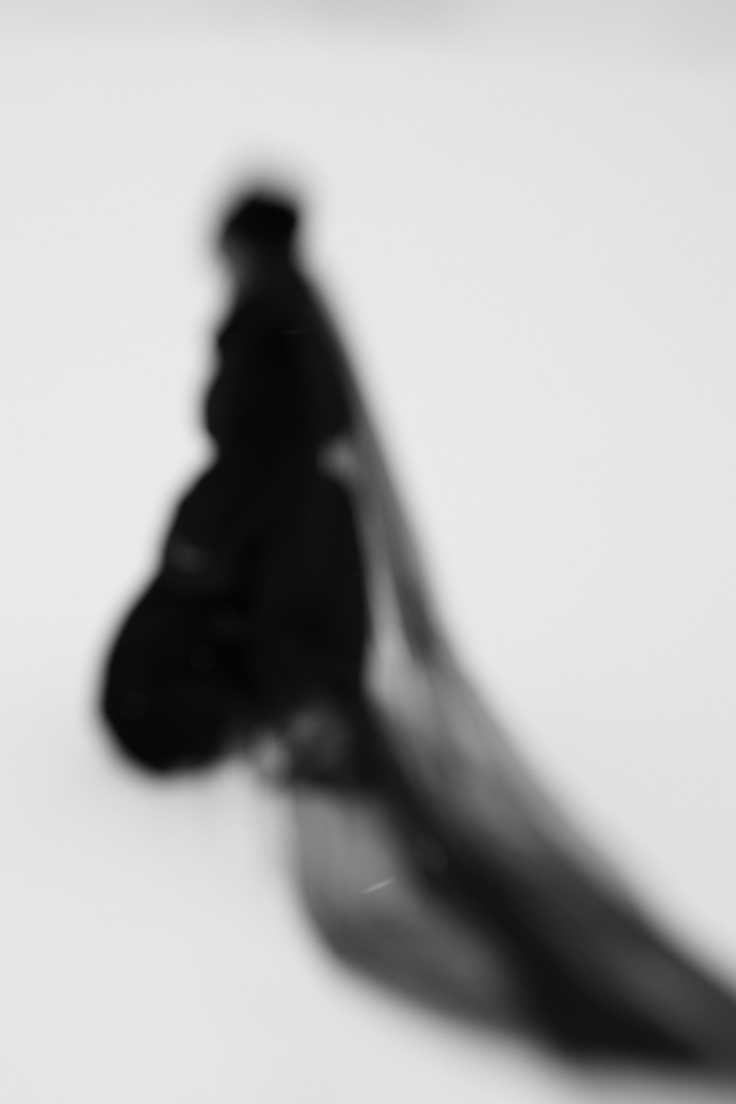 Портфолио. Фотограф в Нефтеюганске