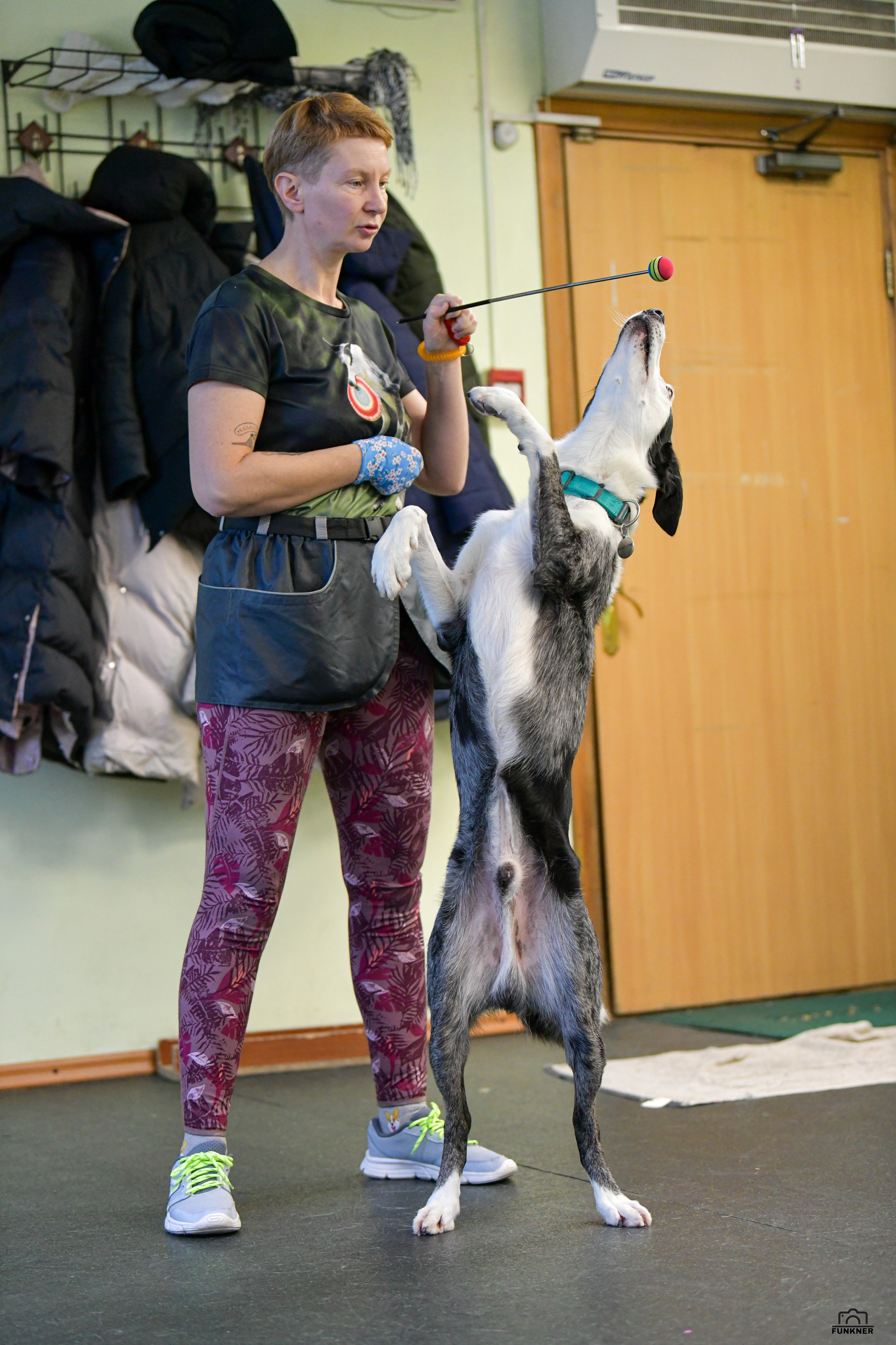 Кинологический клуб «Бодрый хвост». Свой взгляд через объектив