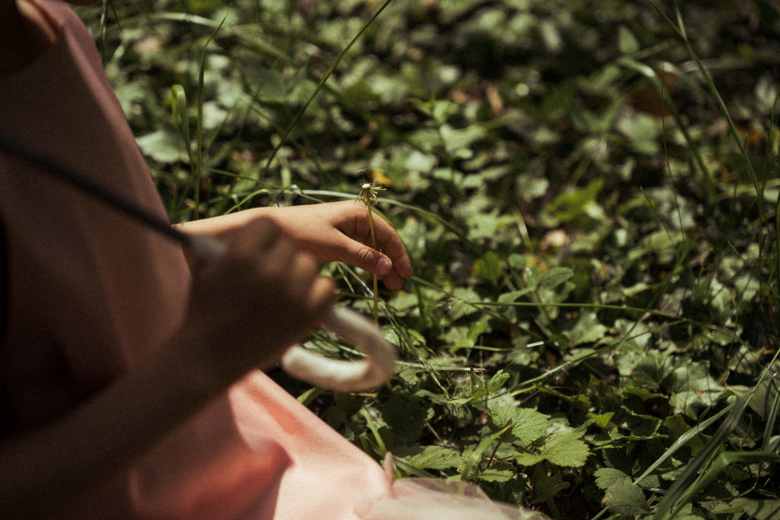 Творческие Проекты. Фото