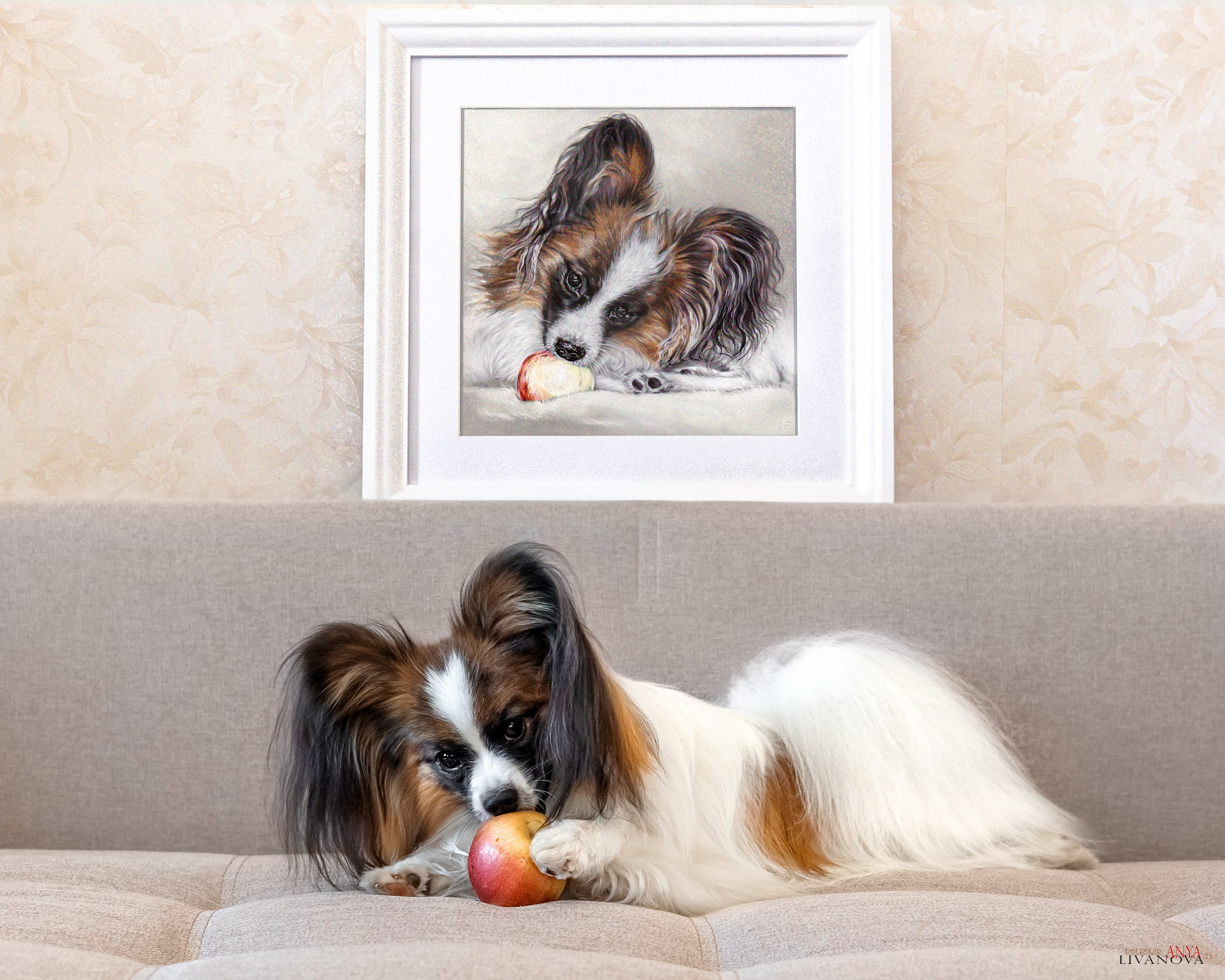 Хьюстон. Фотограф анималист Аня Ливанова | Рыбинск