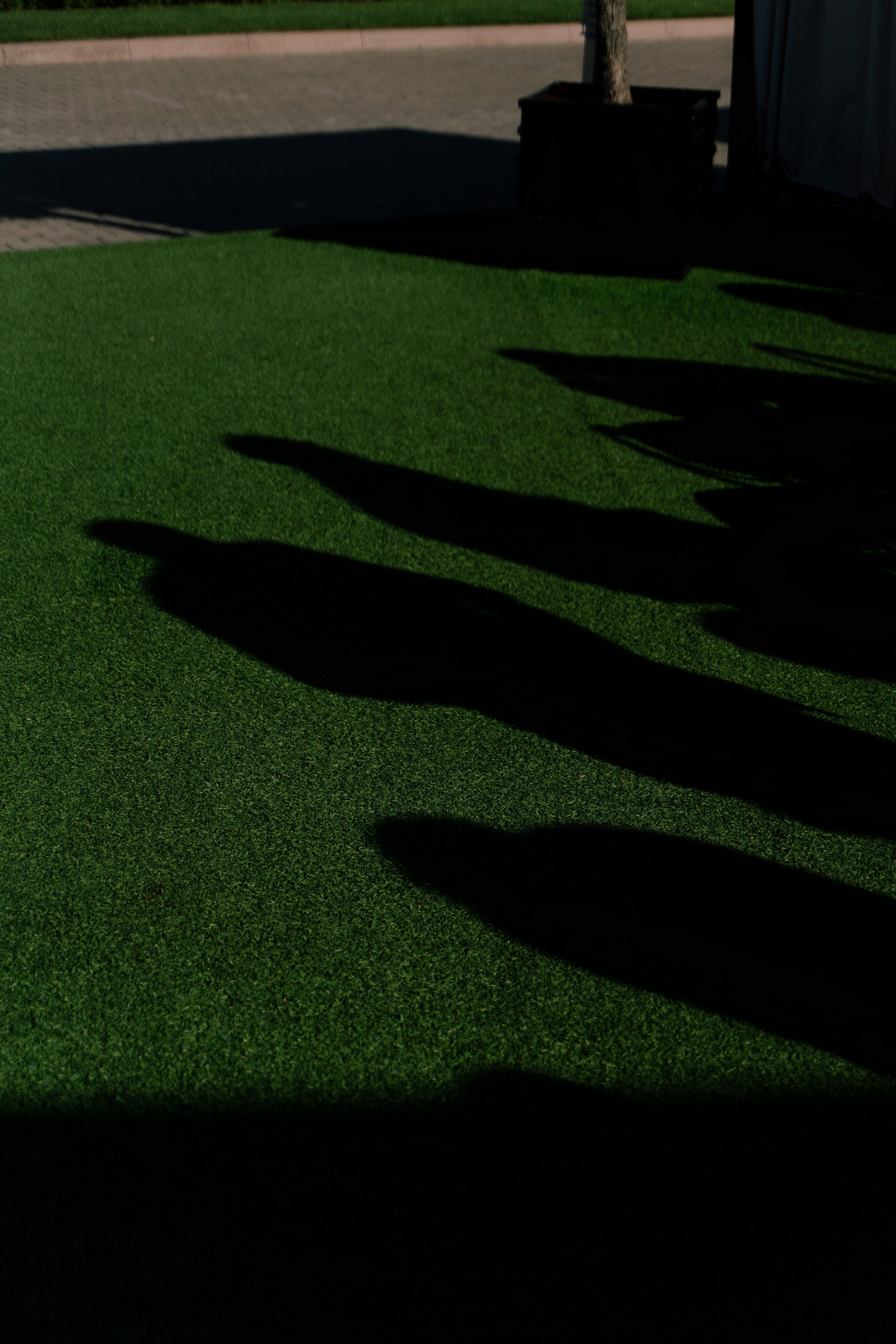 Денис и Олеся. Свадебный фотограф Воронеж