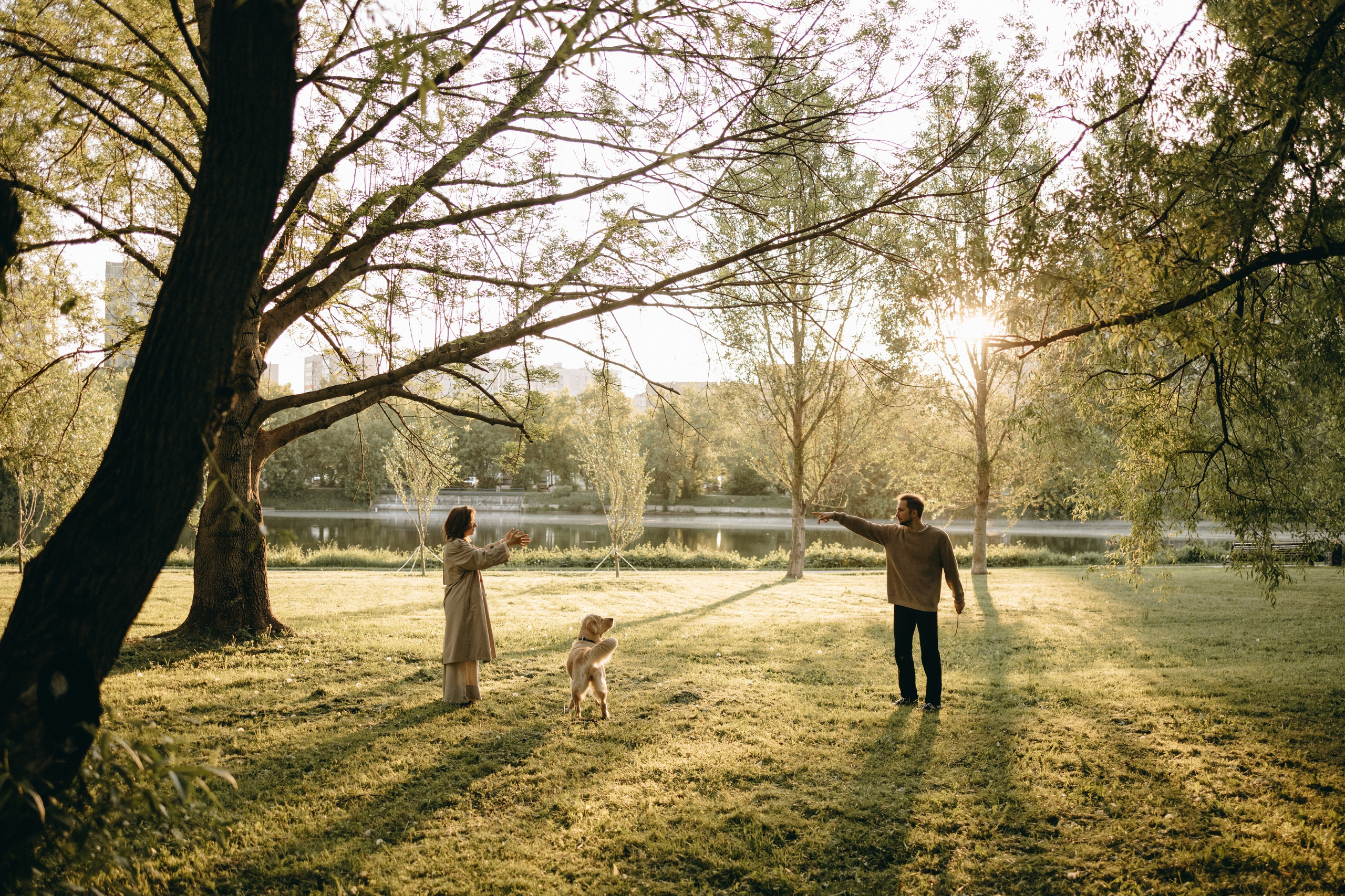 Пенни и ребята. Фотограф — Анималист | Санкт-Петербург