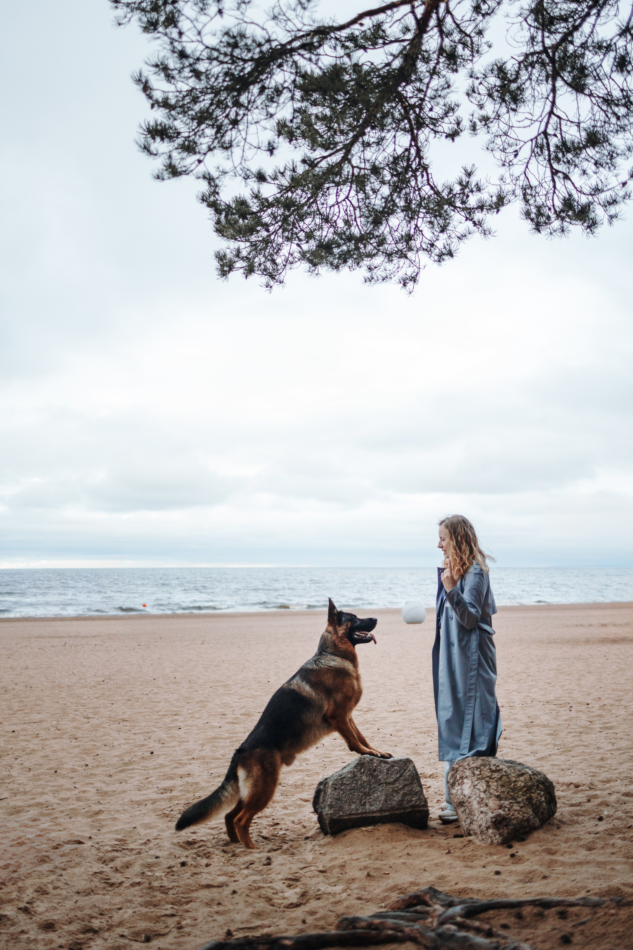 Катя и Агат. Фотограф — Анималист | Санкт-Петербург