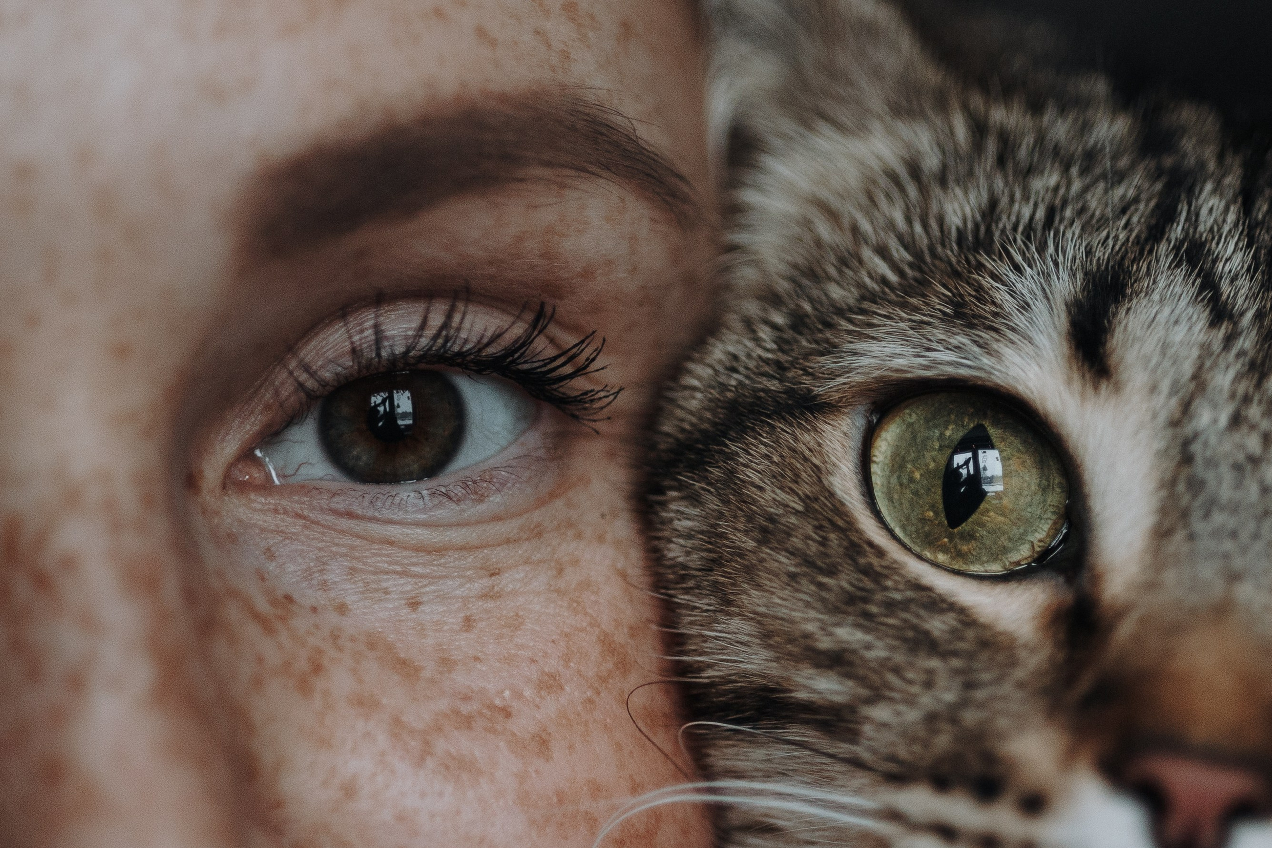 Мася и ее семья. Фотограф — Анималист | Санкт-Петербург