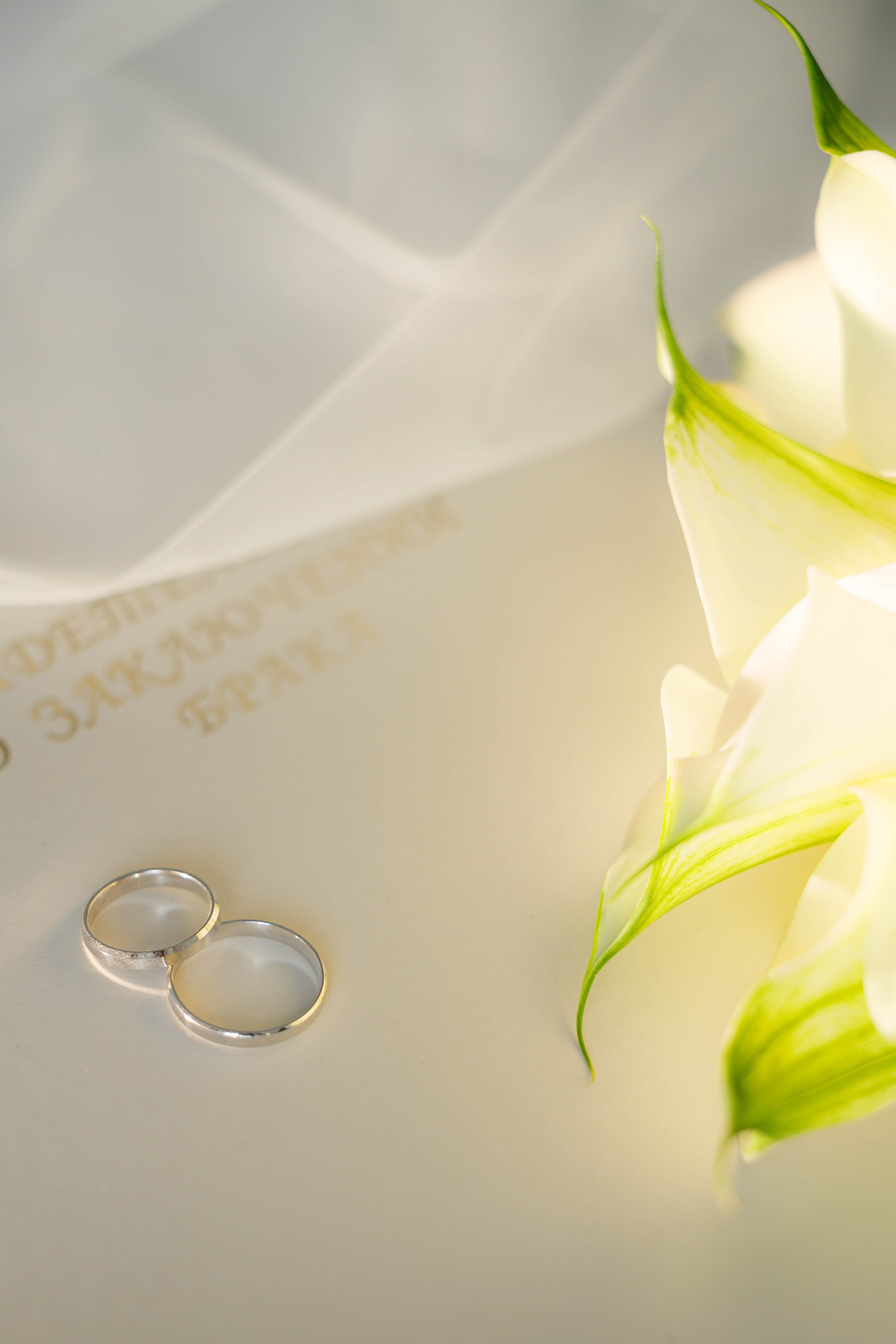 Свадьба. Александр и Анастасия. Свадебный фотограф. Москва и Московская Область