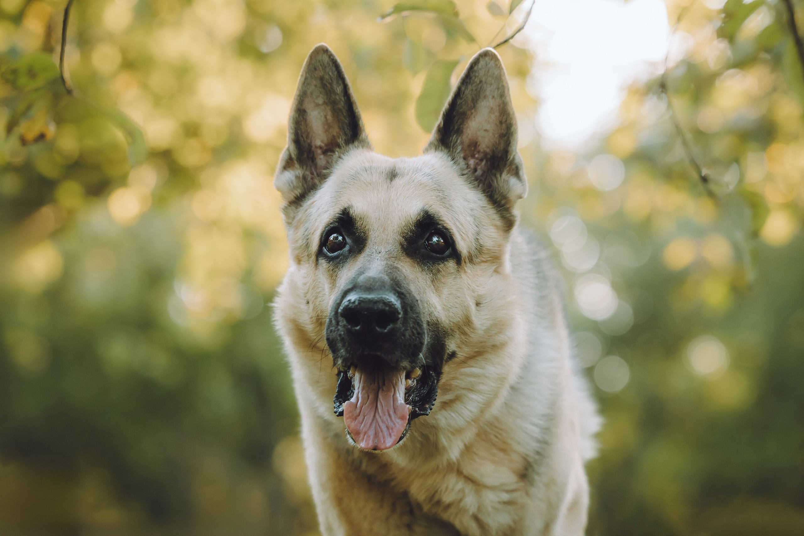Кристина и все-все