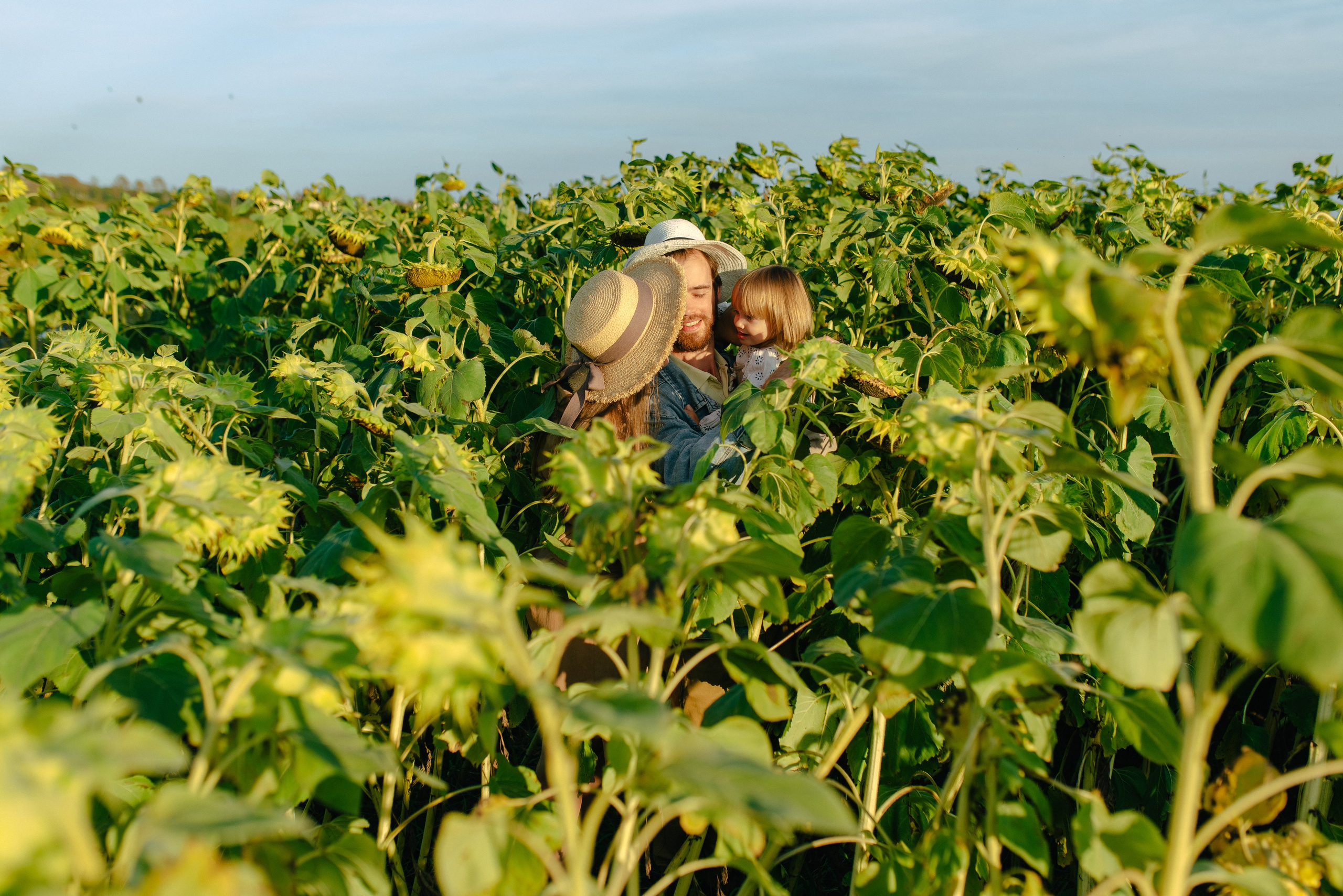 ПОДСОЛНУХИ. Шашкова Вероника / Свадебный и семейный фотограф Москва и Ярославль