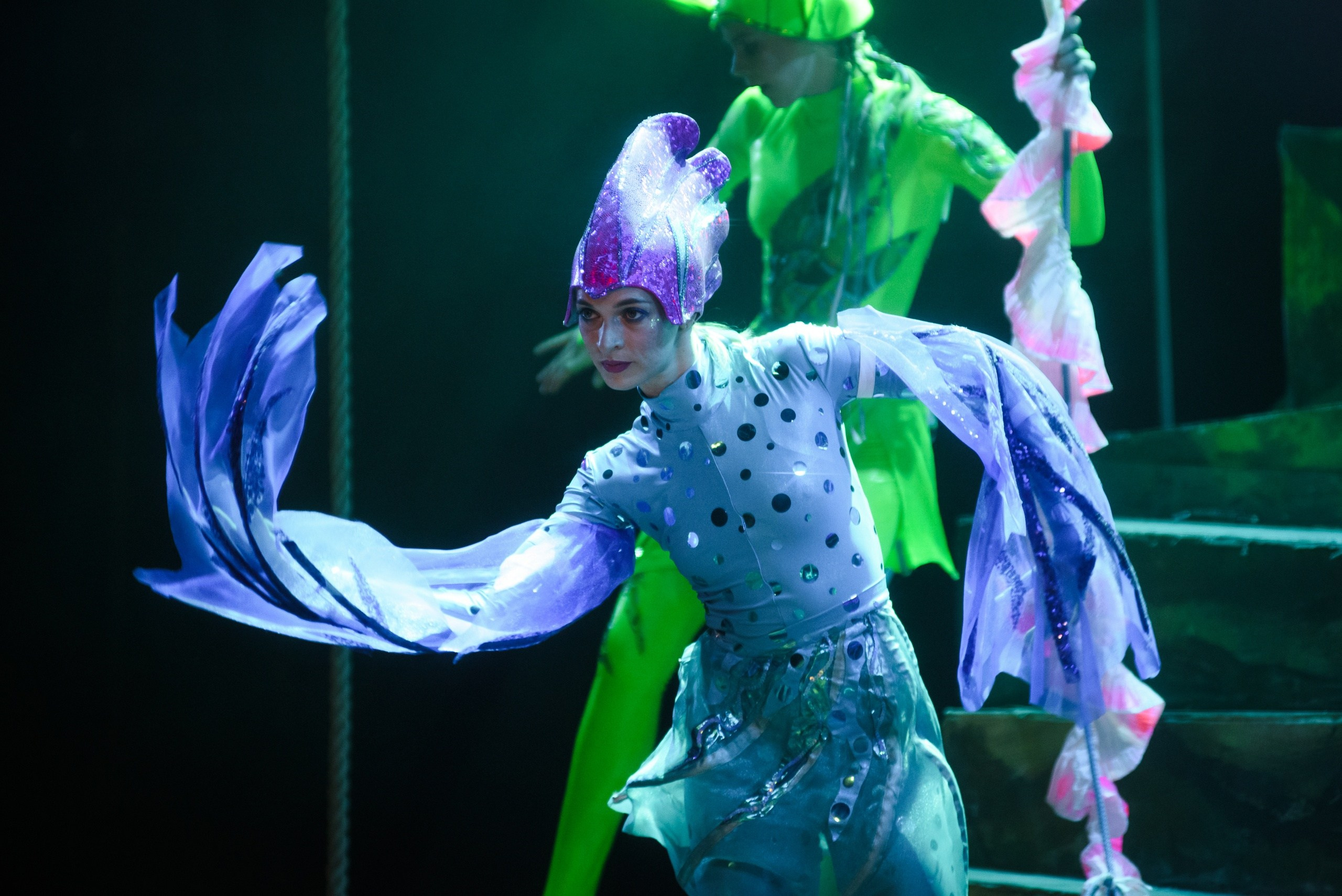 Человек-амфибия | Алтайский музыкальный театр