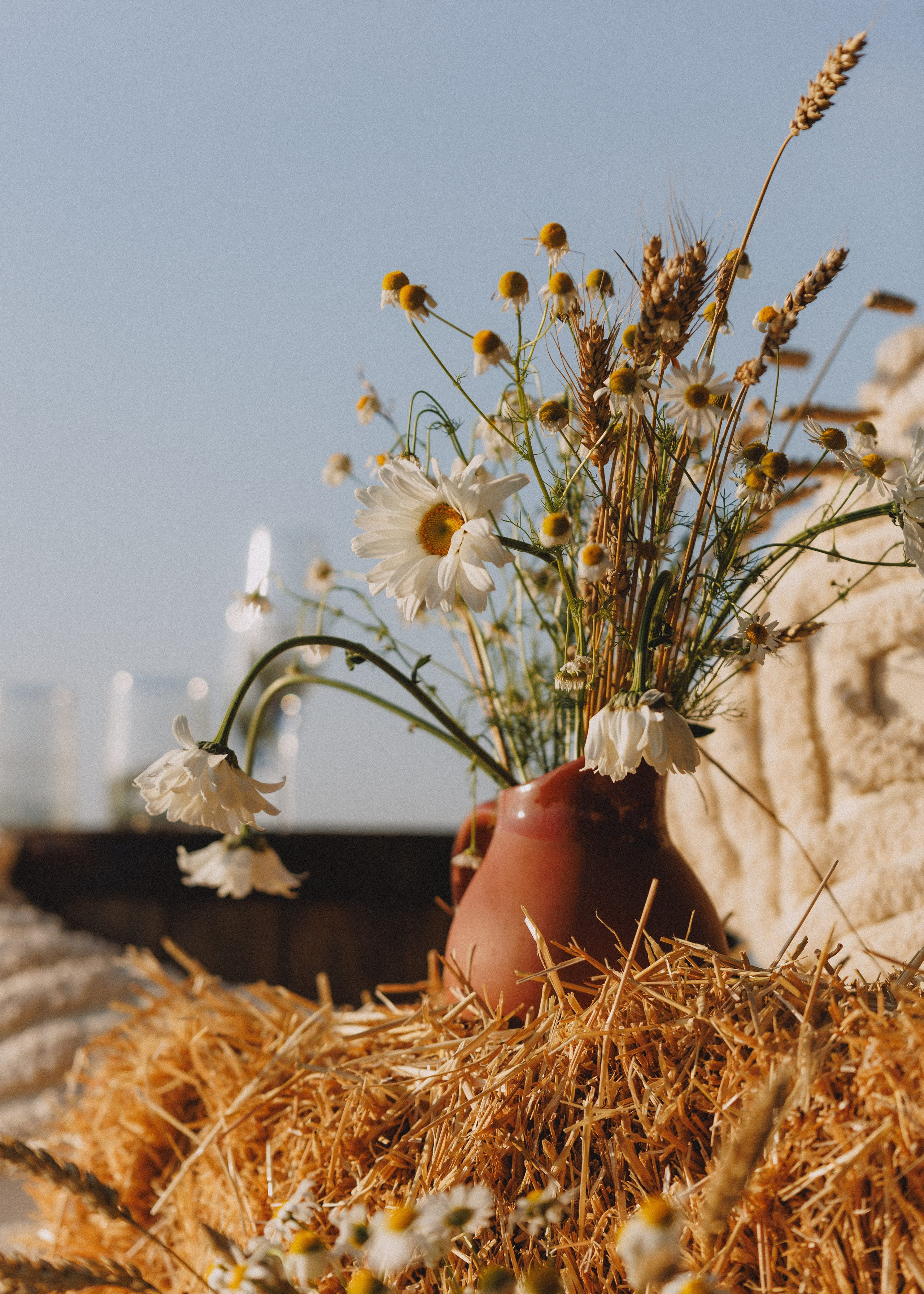 RUSSTYLE. Свадебный фотограф Владислав Адышкин