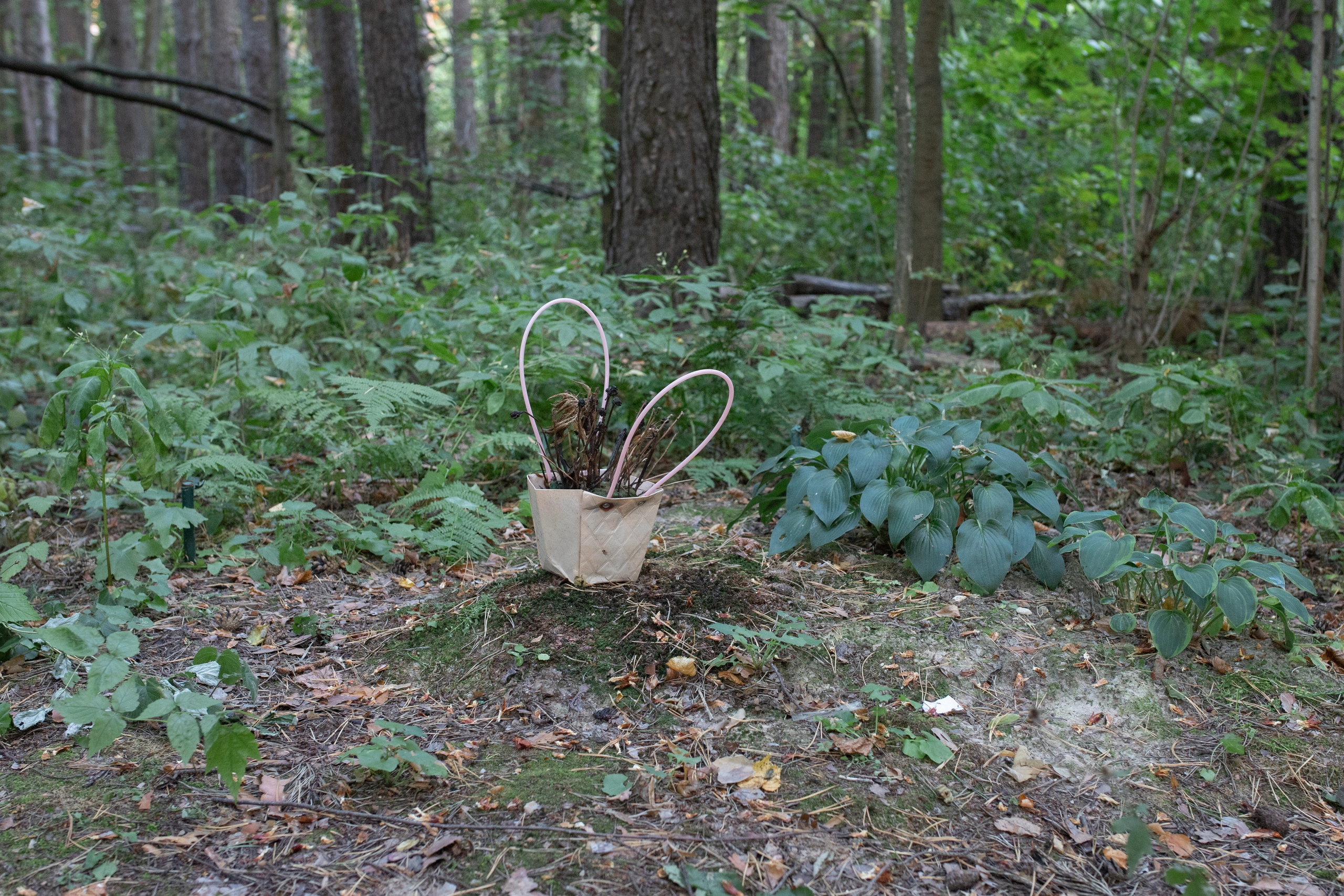 Пустота имеет место. Главная