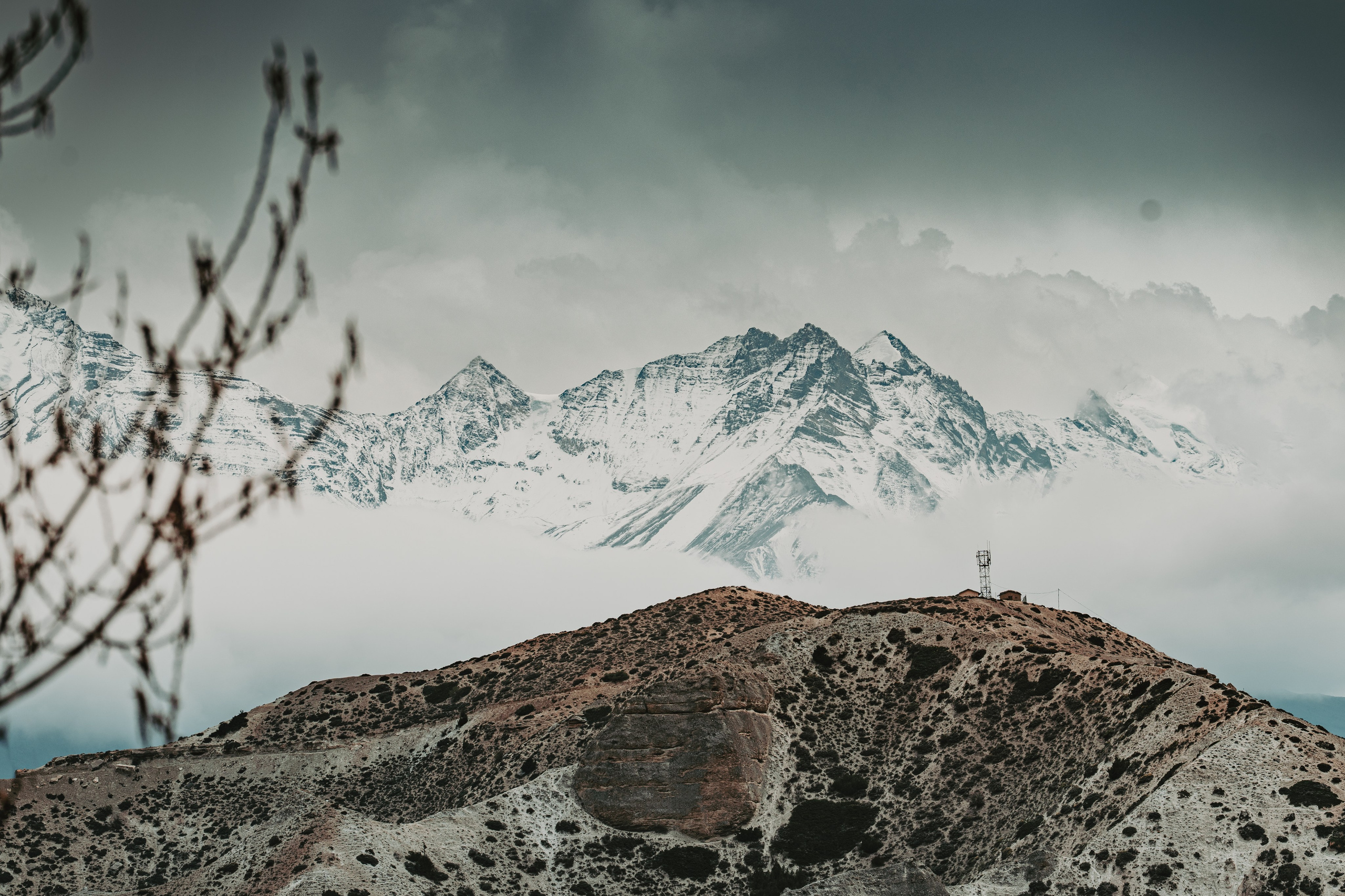 Королевство Мустанг. Dmitry Ippolitov